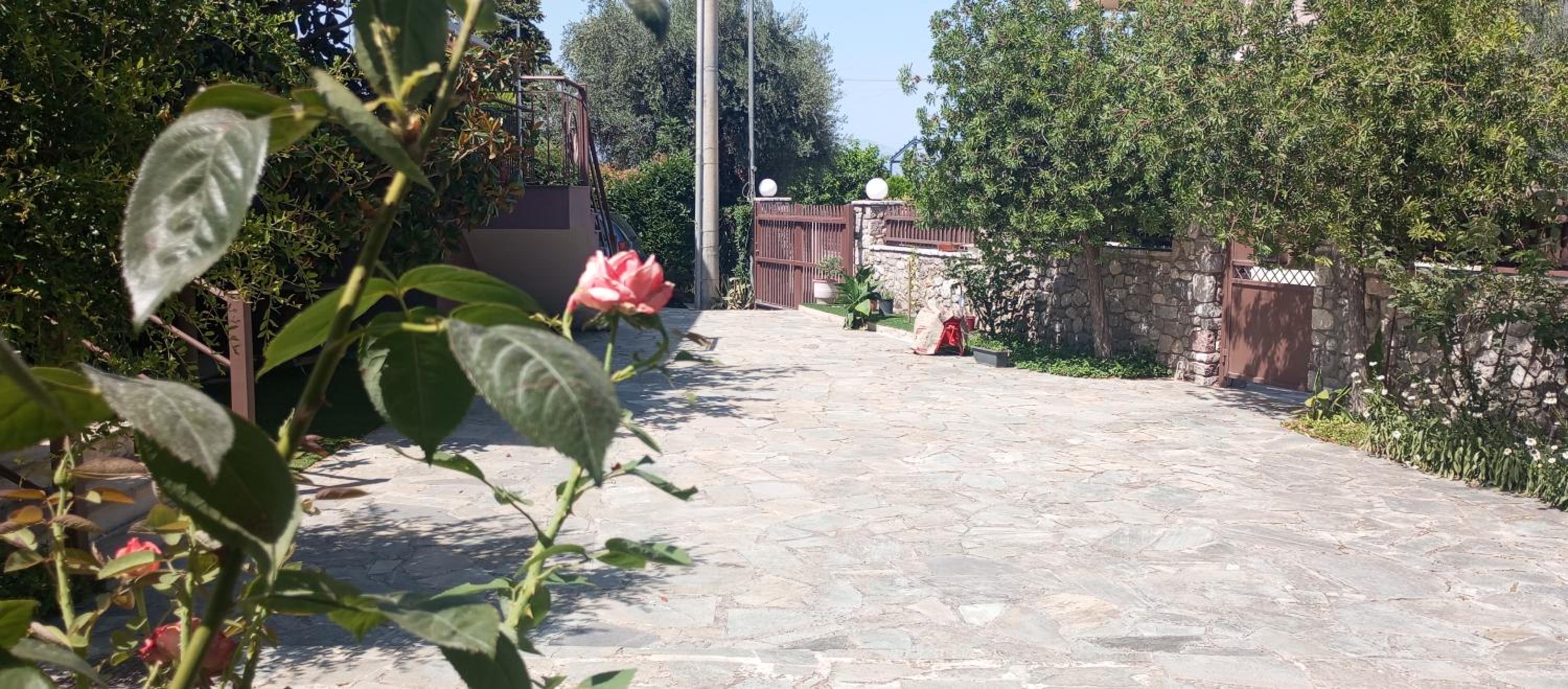 Photo 41