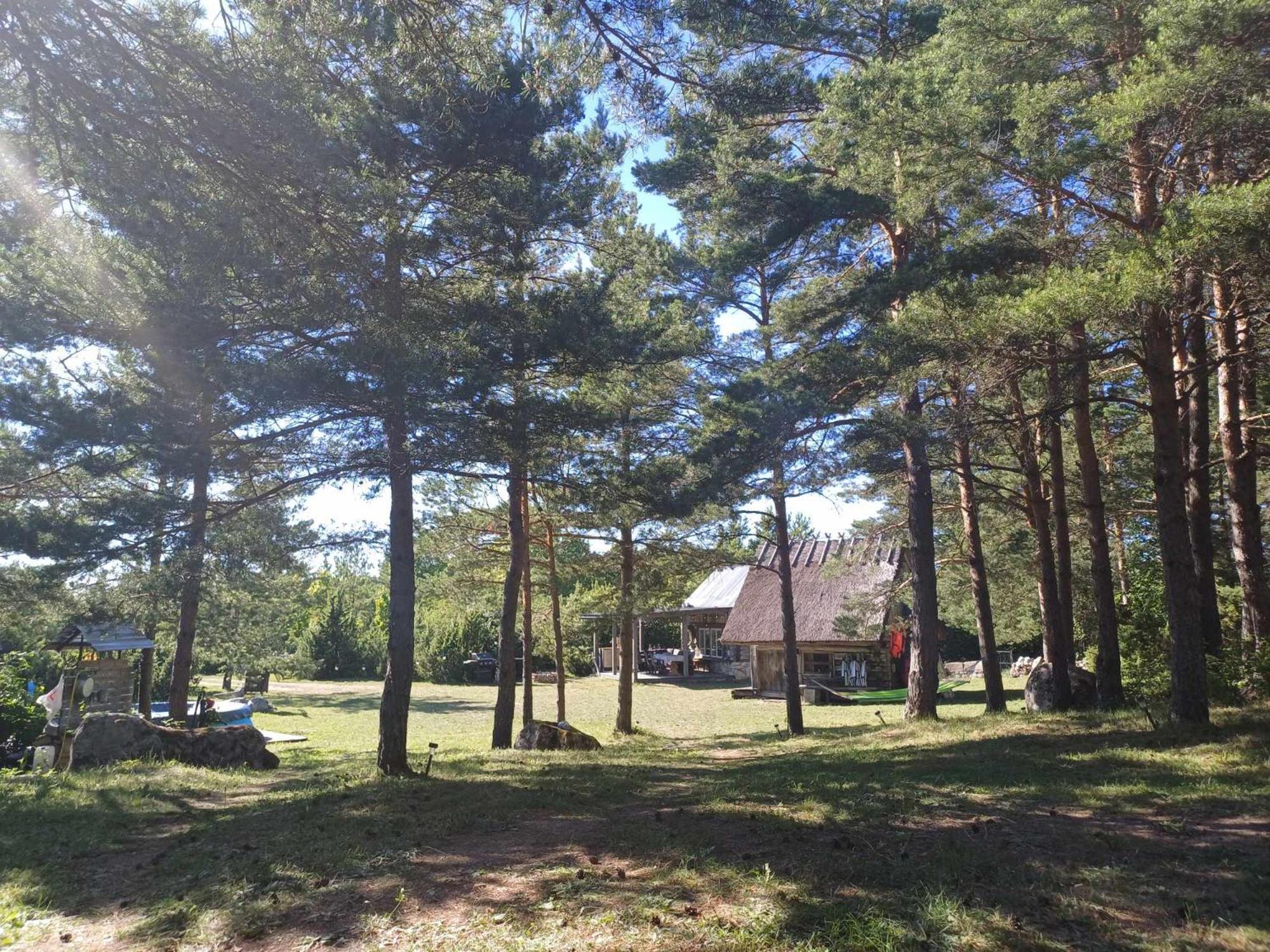 Intsu suvemaja