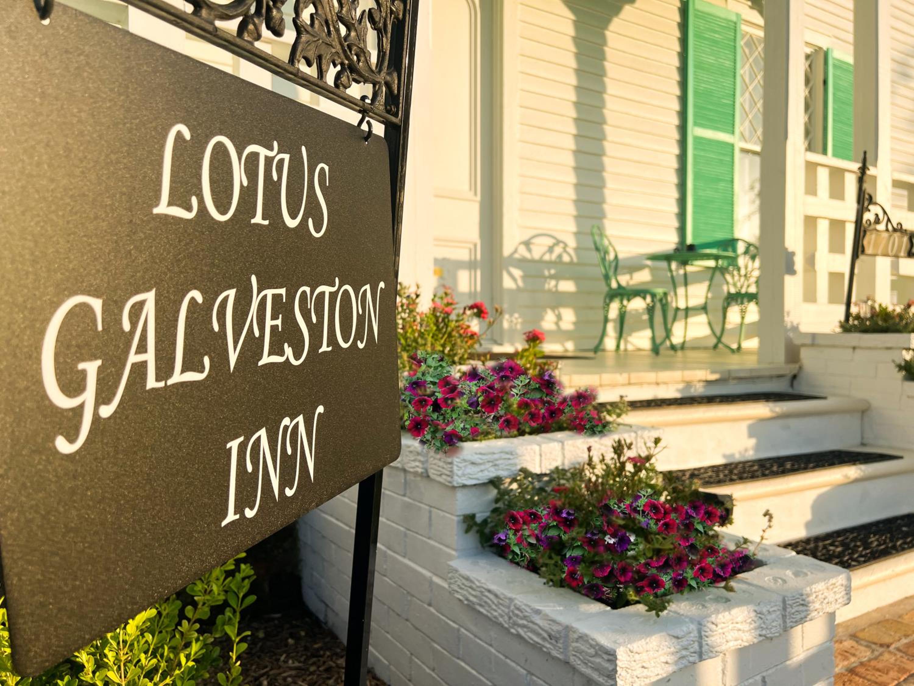 Lotus Galveston