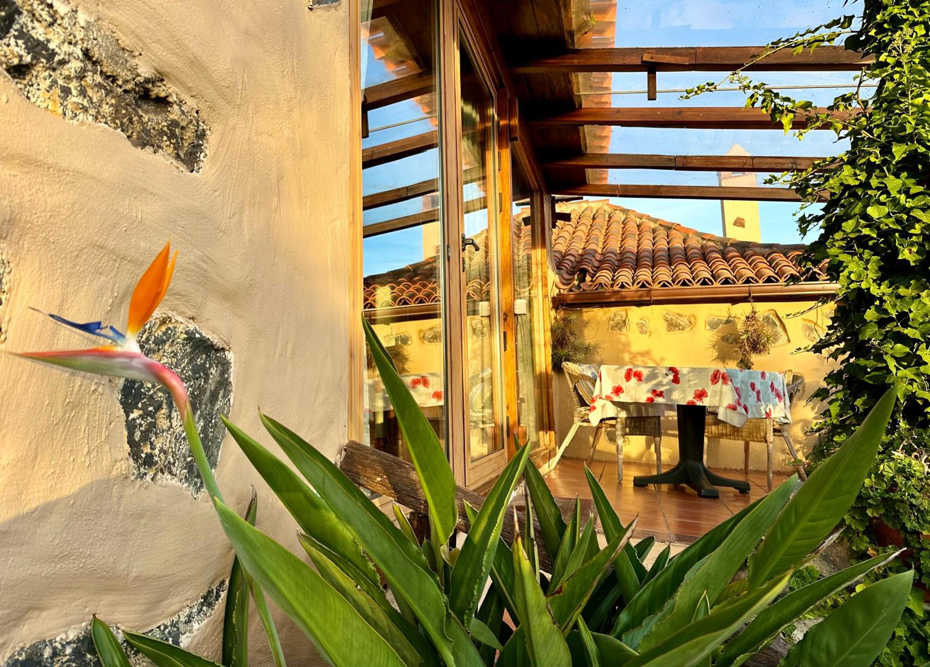 Finca Tenerife - Cozy Studio mit Traumblick & tropischem Garten photo 5