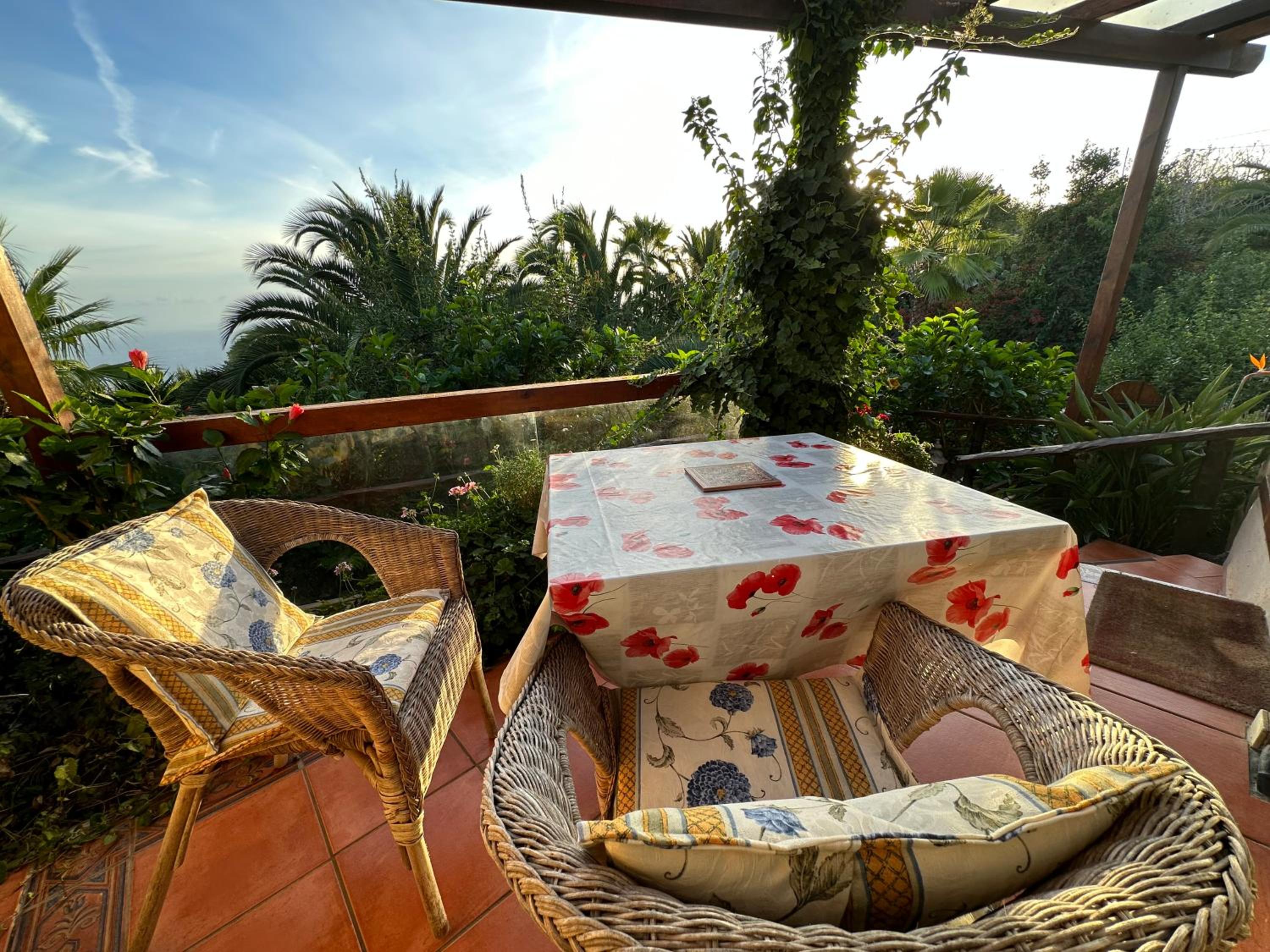 Finca Tenerife - Cozy Studio mit Traumblick & tropischem Garten photo 4
