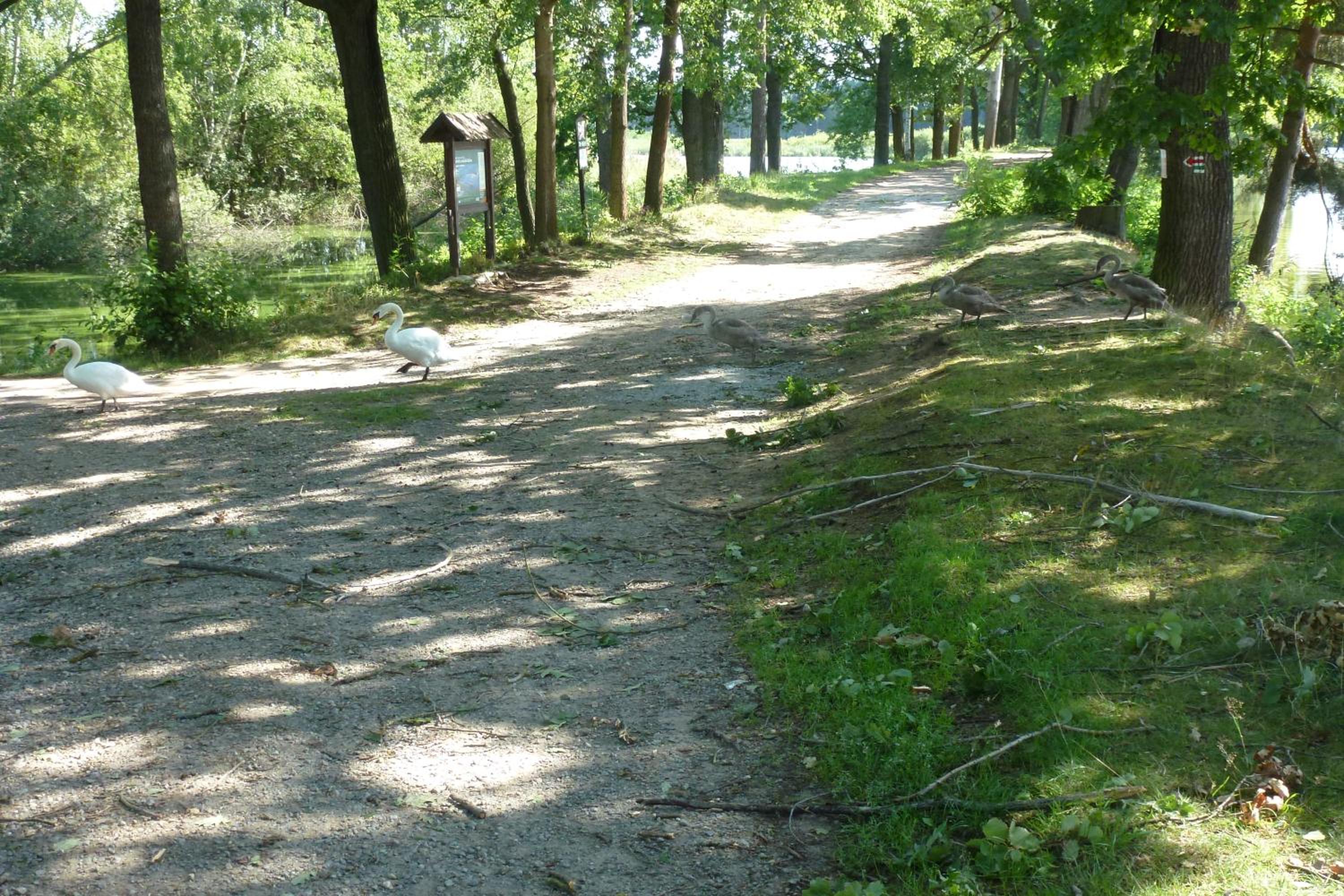 chata Lochneska u Vlkovských pískoven