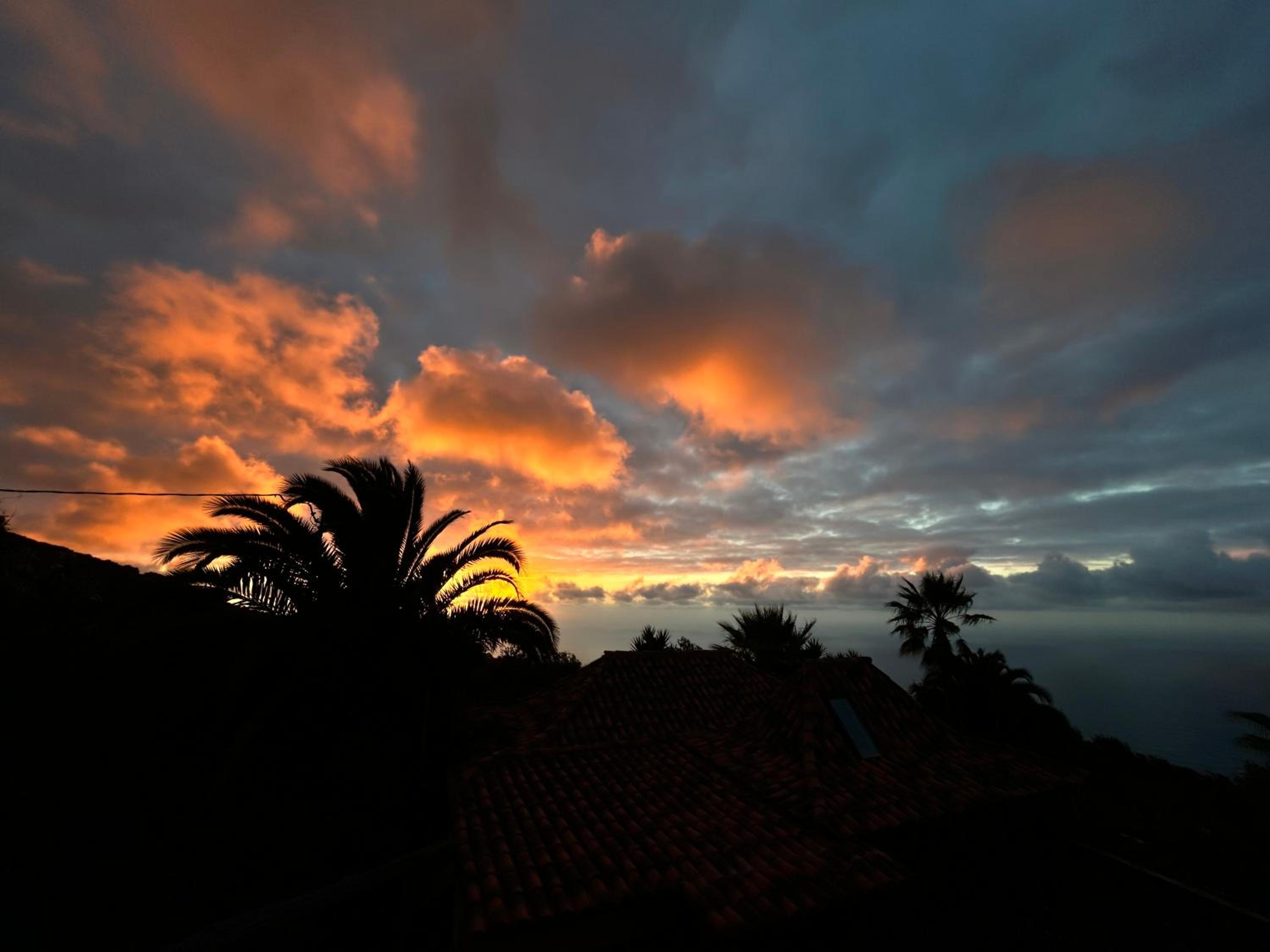 Finca Tenerife - Cozy Studio mit Traumblick & tropischem Garten photo 2