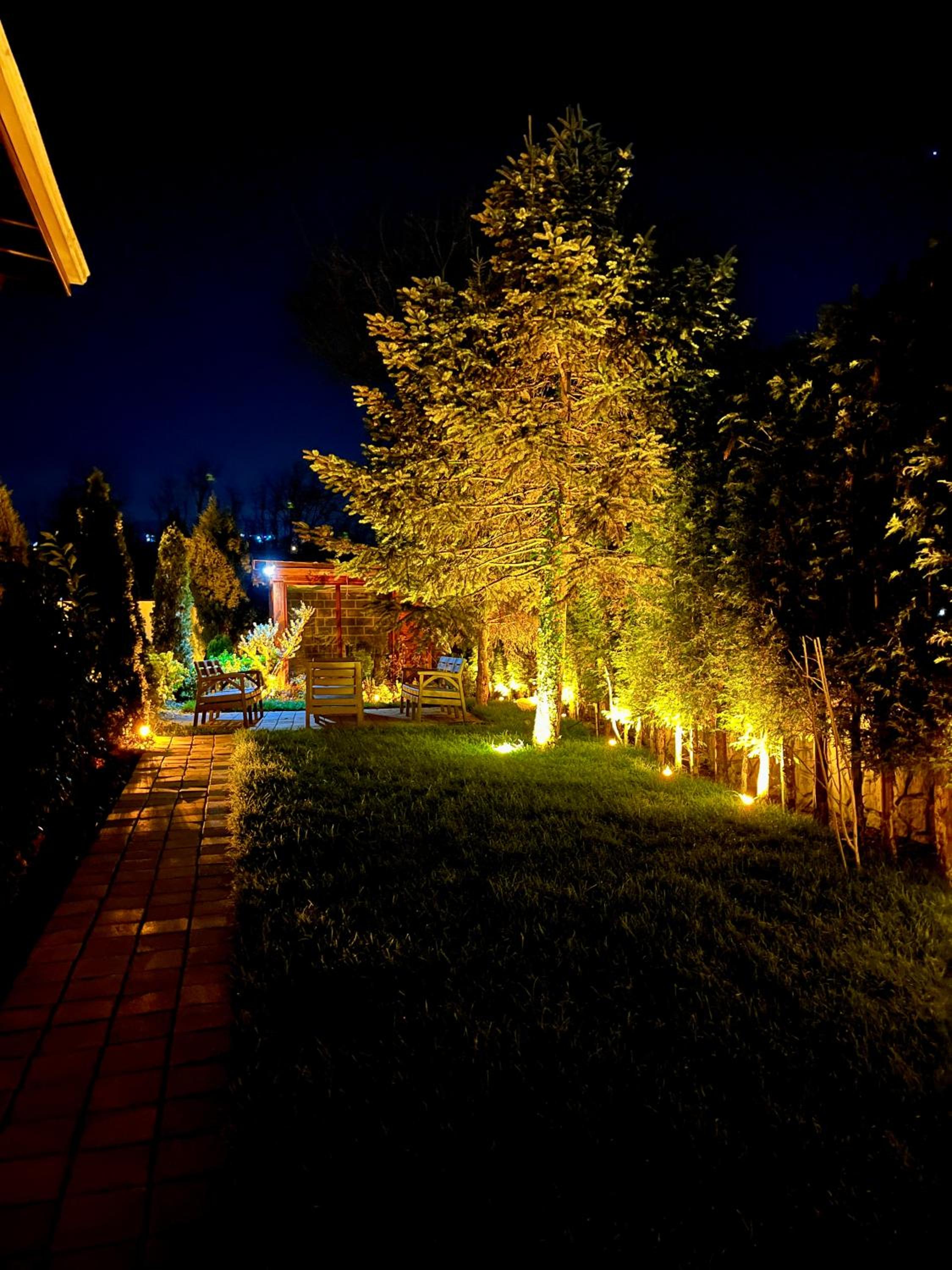 Photo 23