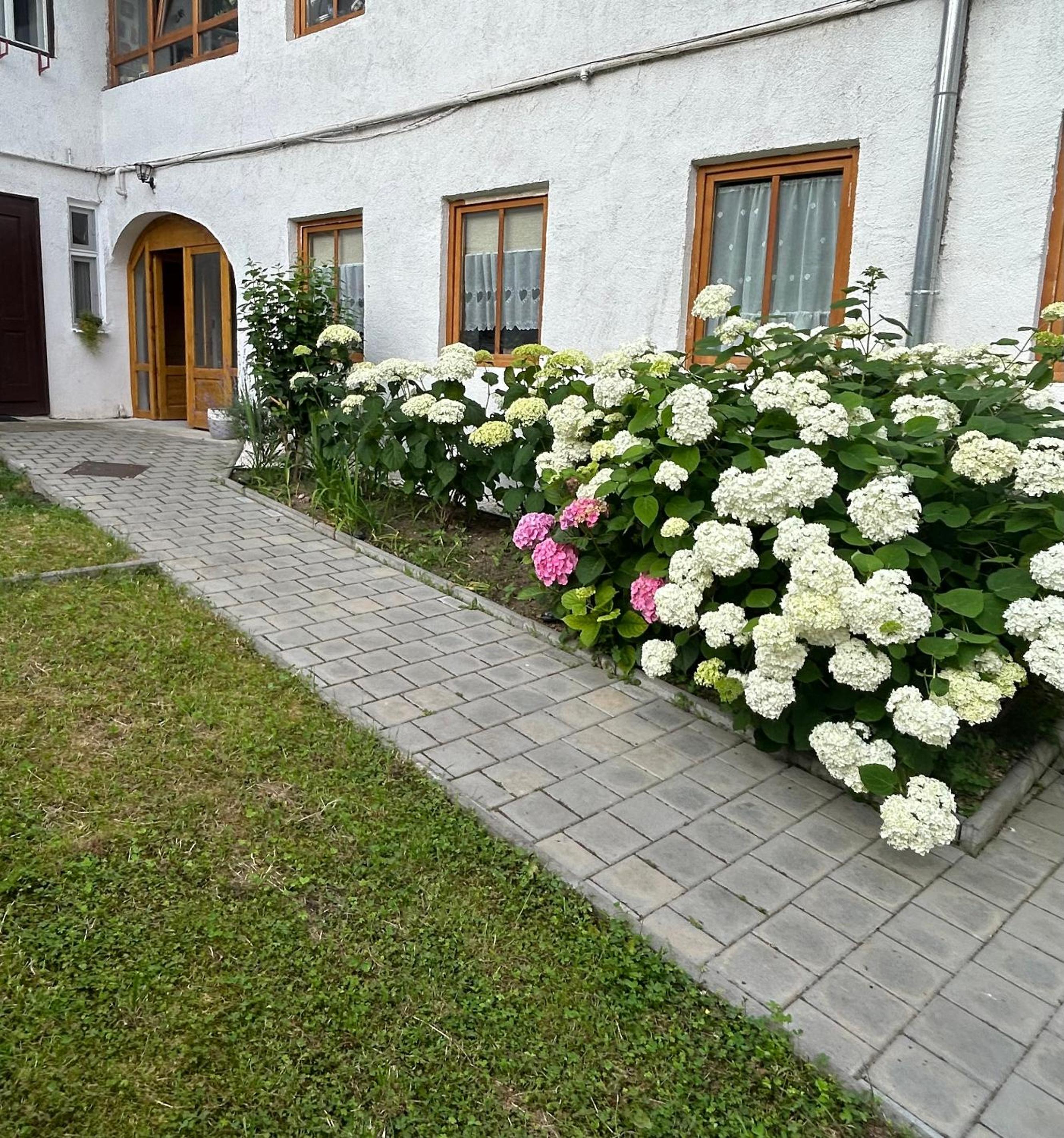 Stone Way Apartment