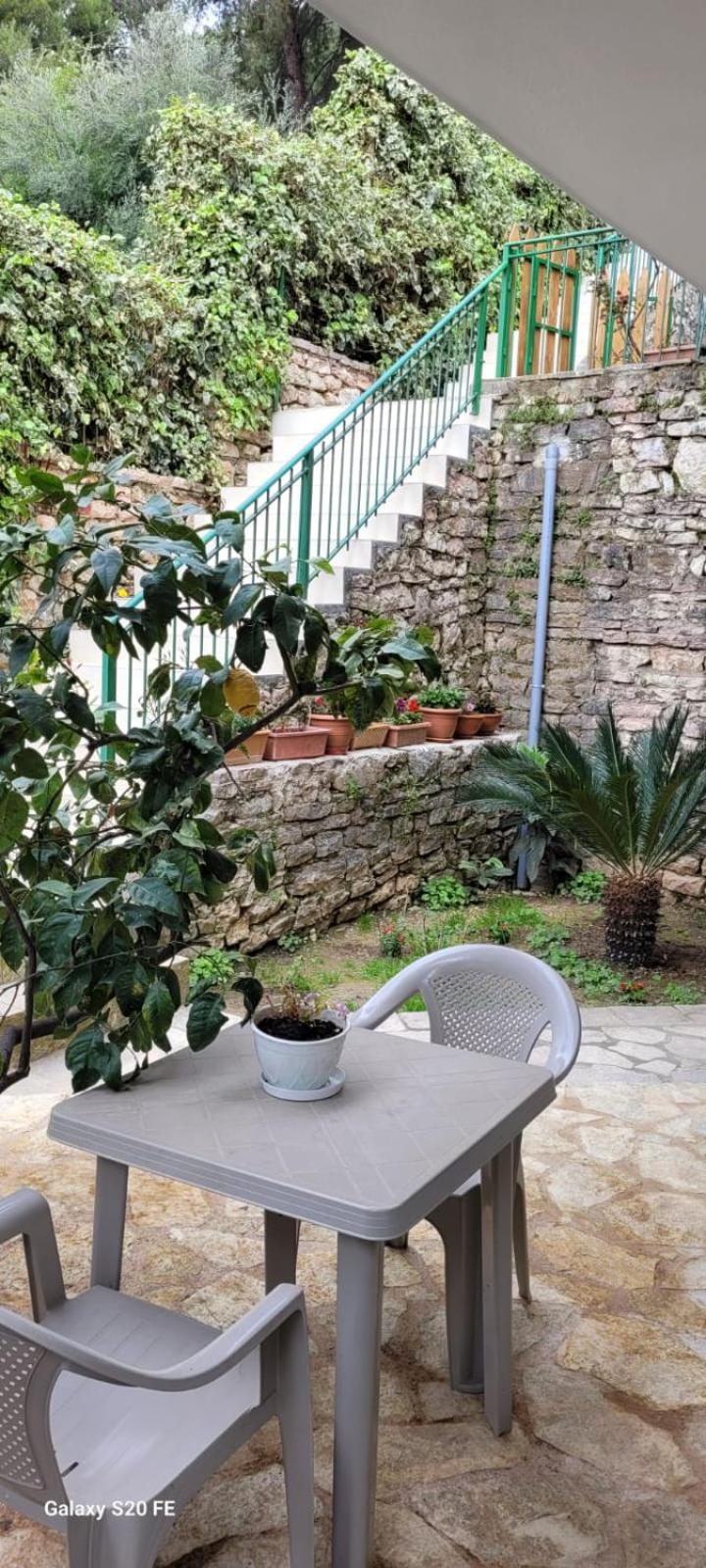 Appartamento - Orchidea