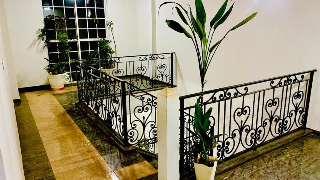 BARAN ADISSA Home