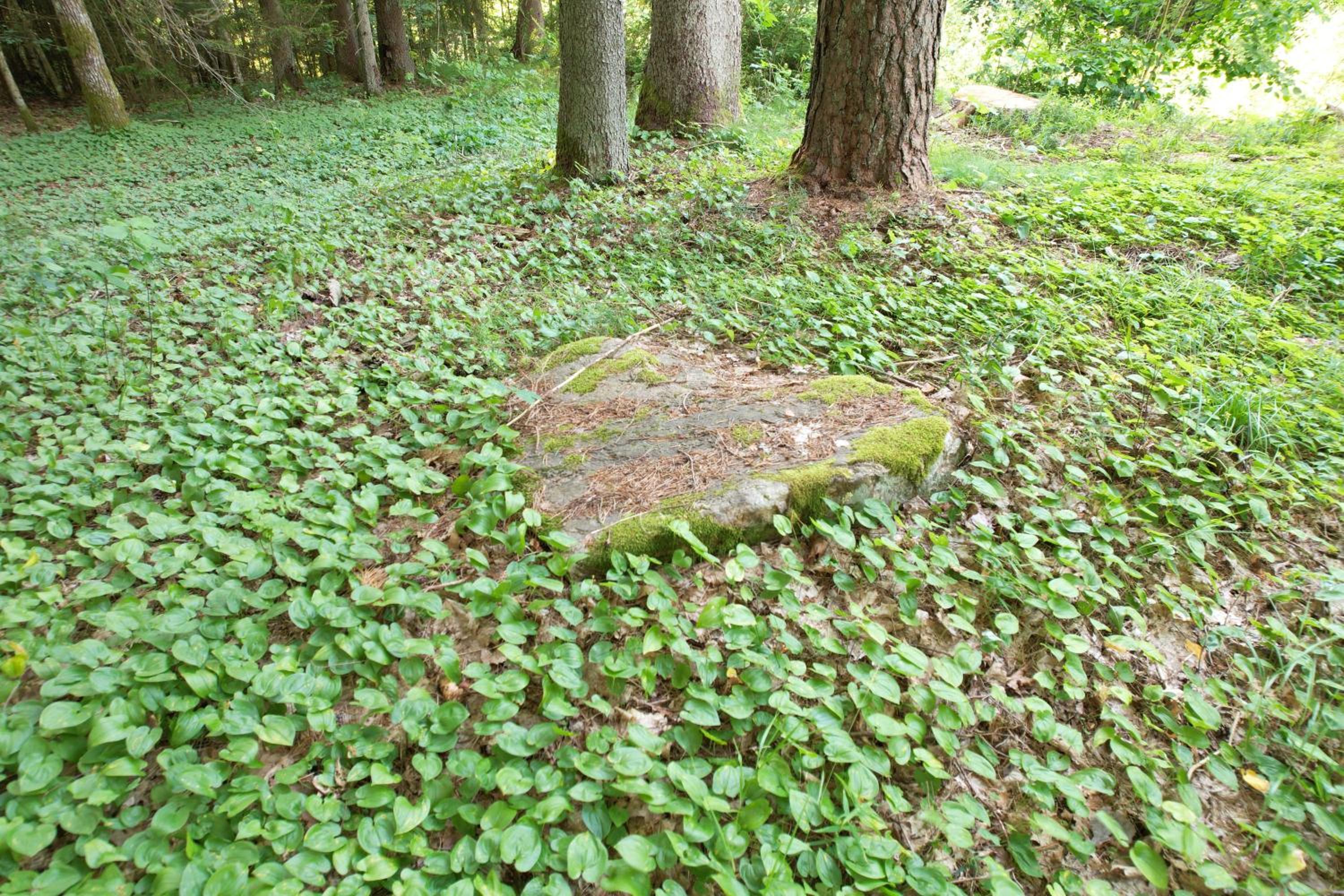 Pasakų trobelė