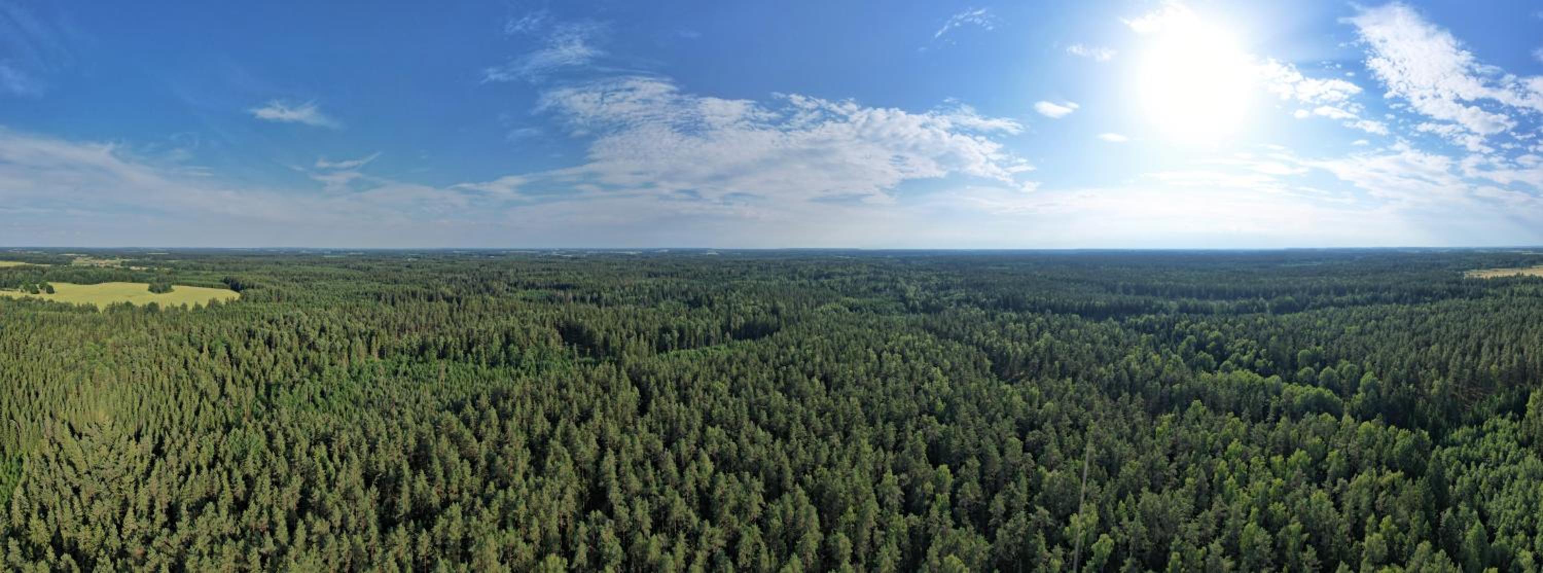 Pasakų trobelė
