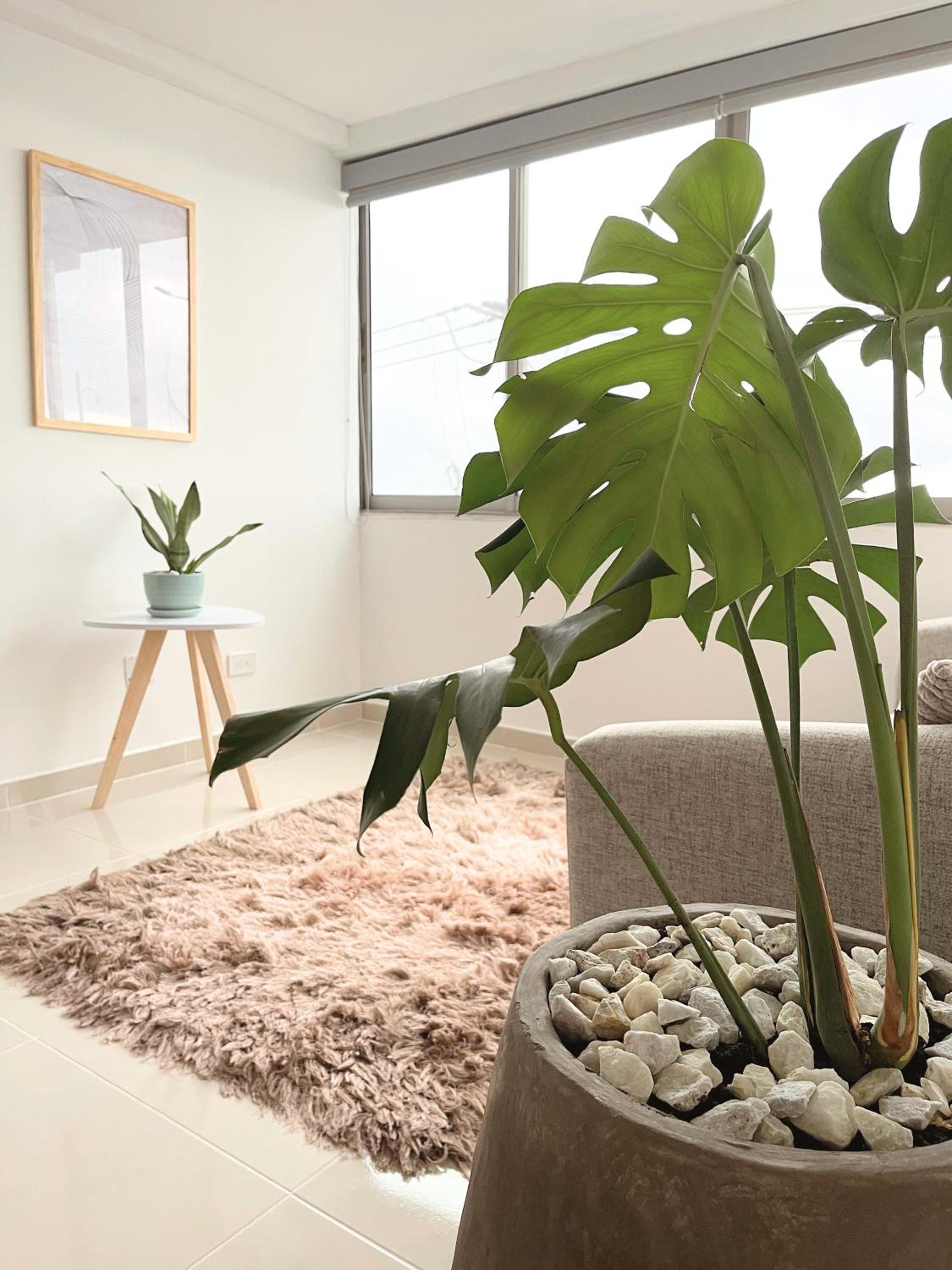 Mangata Home - Apartamento frente al mar
