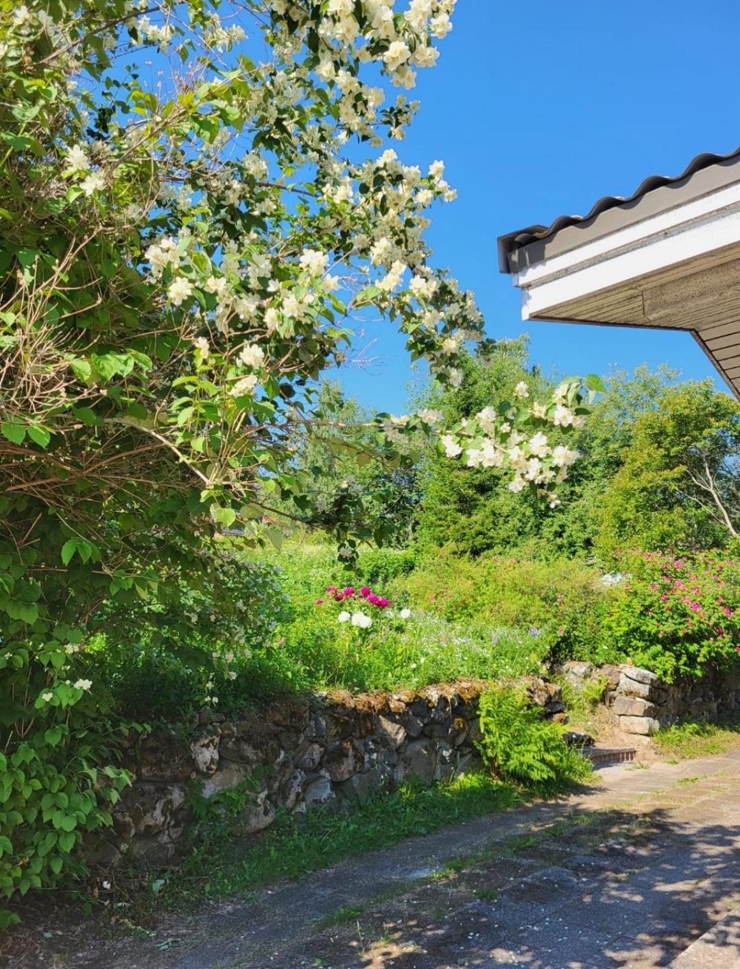 Agda's Garden