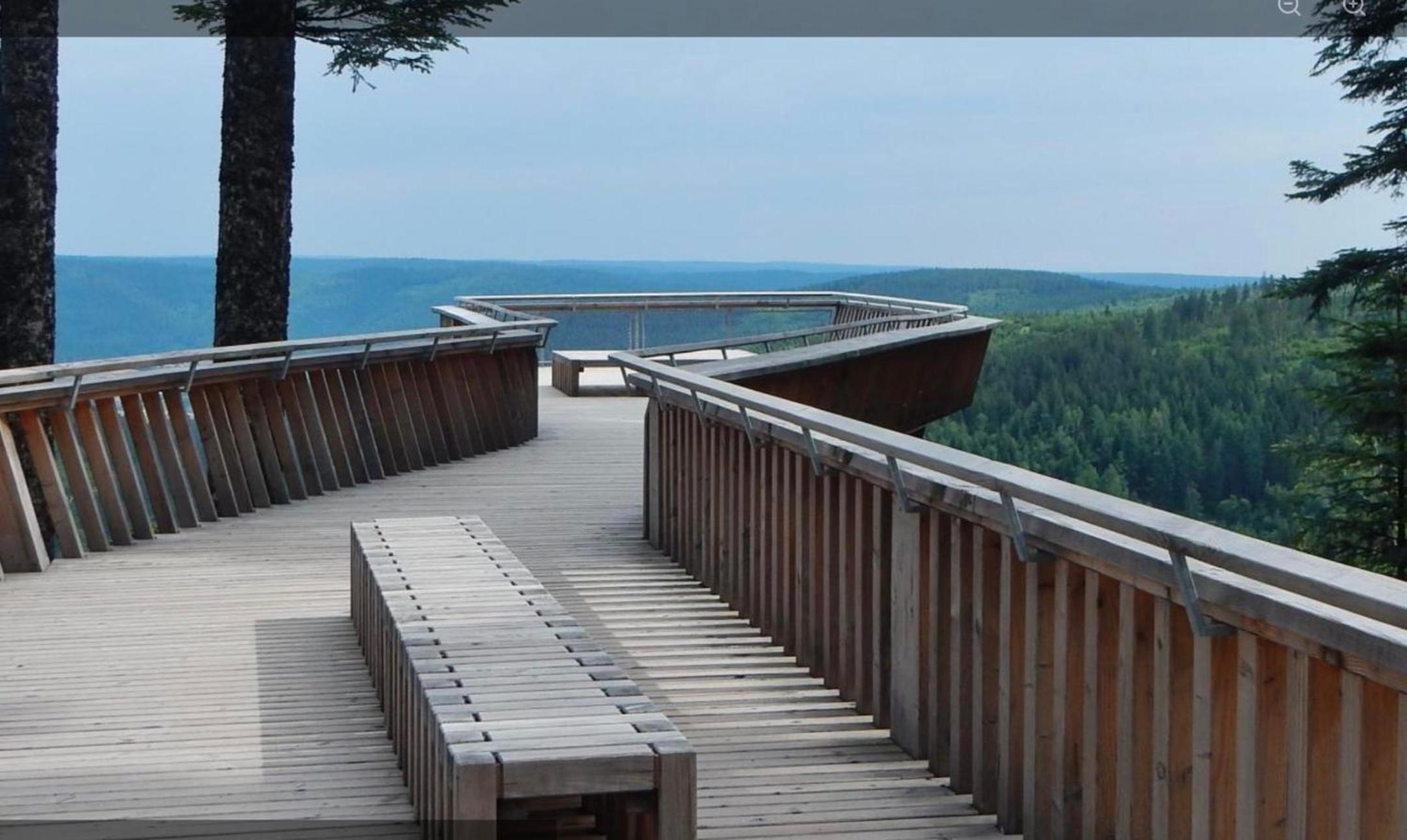 Ferienwohnung Schwarzwald Tannenzäpfle