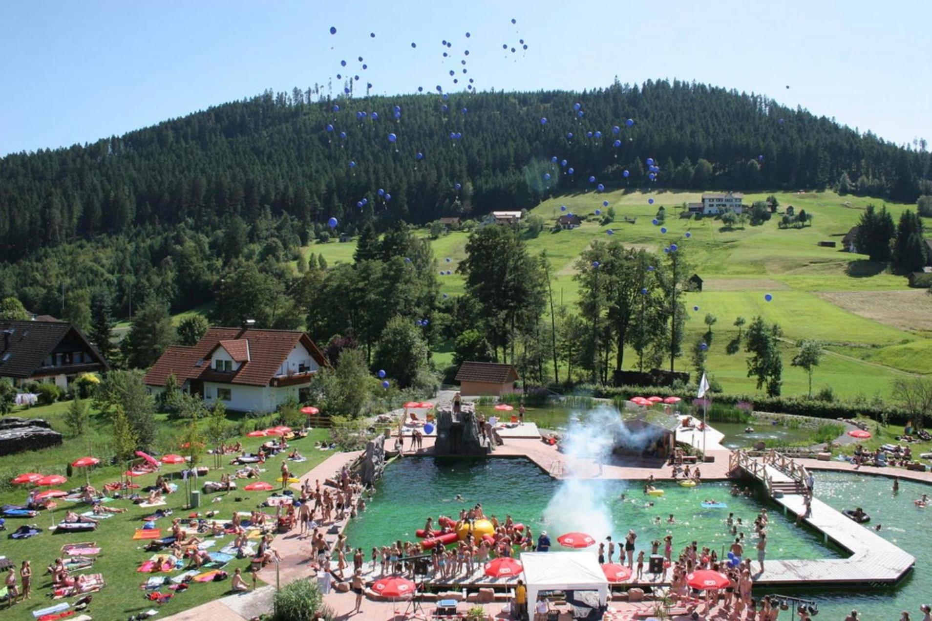 Ferienwohnung Schwarzwald Tannenzäpfle