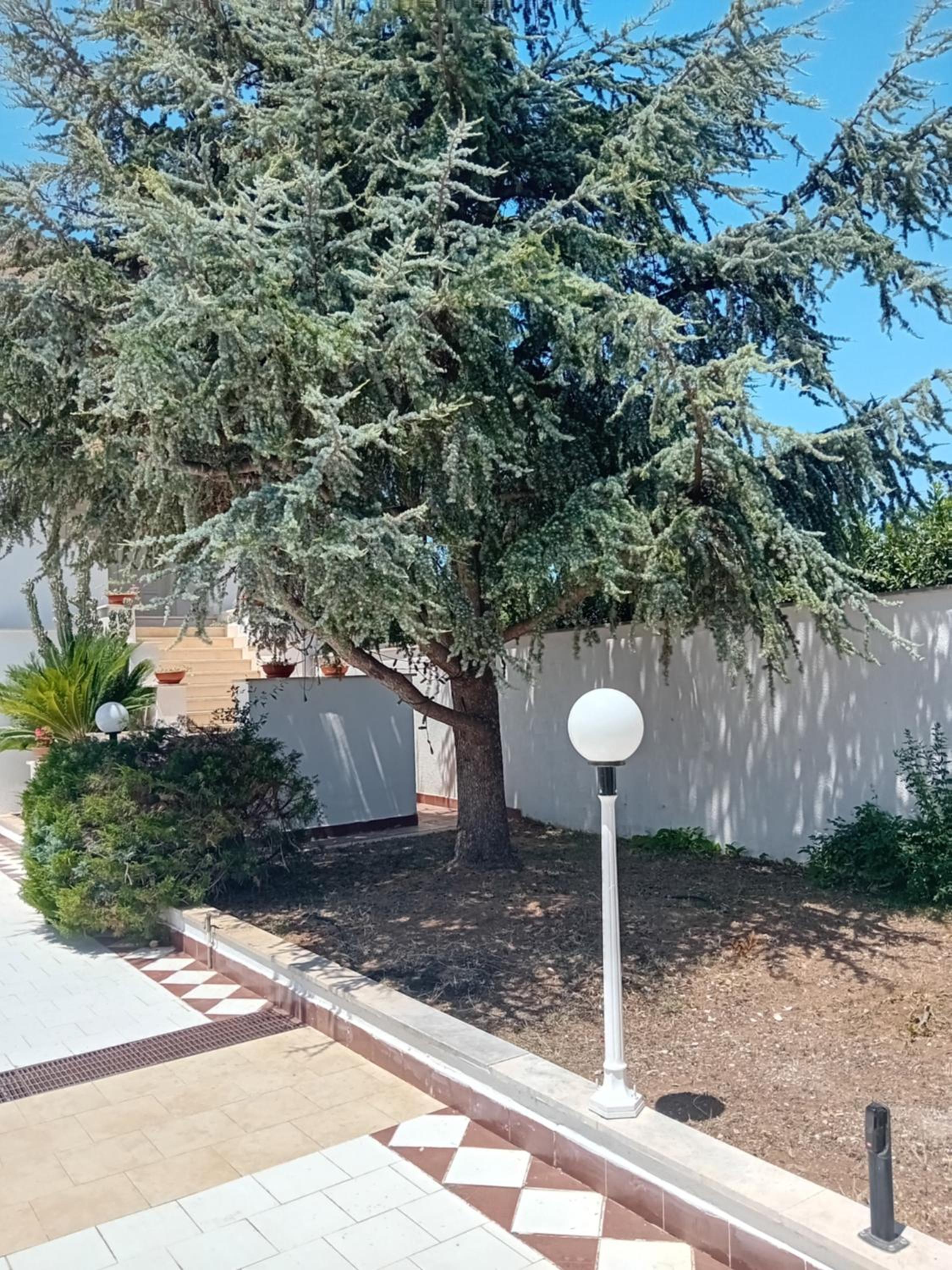 Serè Apartments & Garden view 4