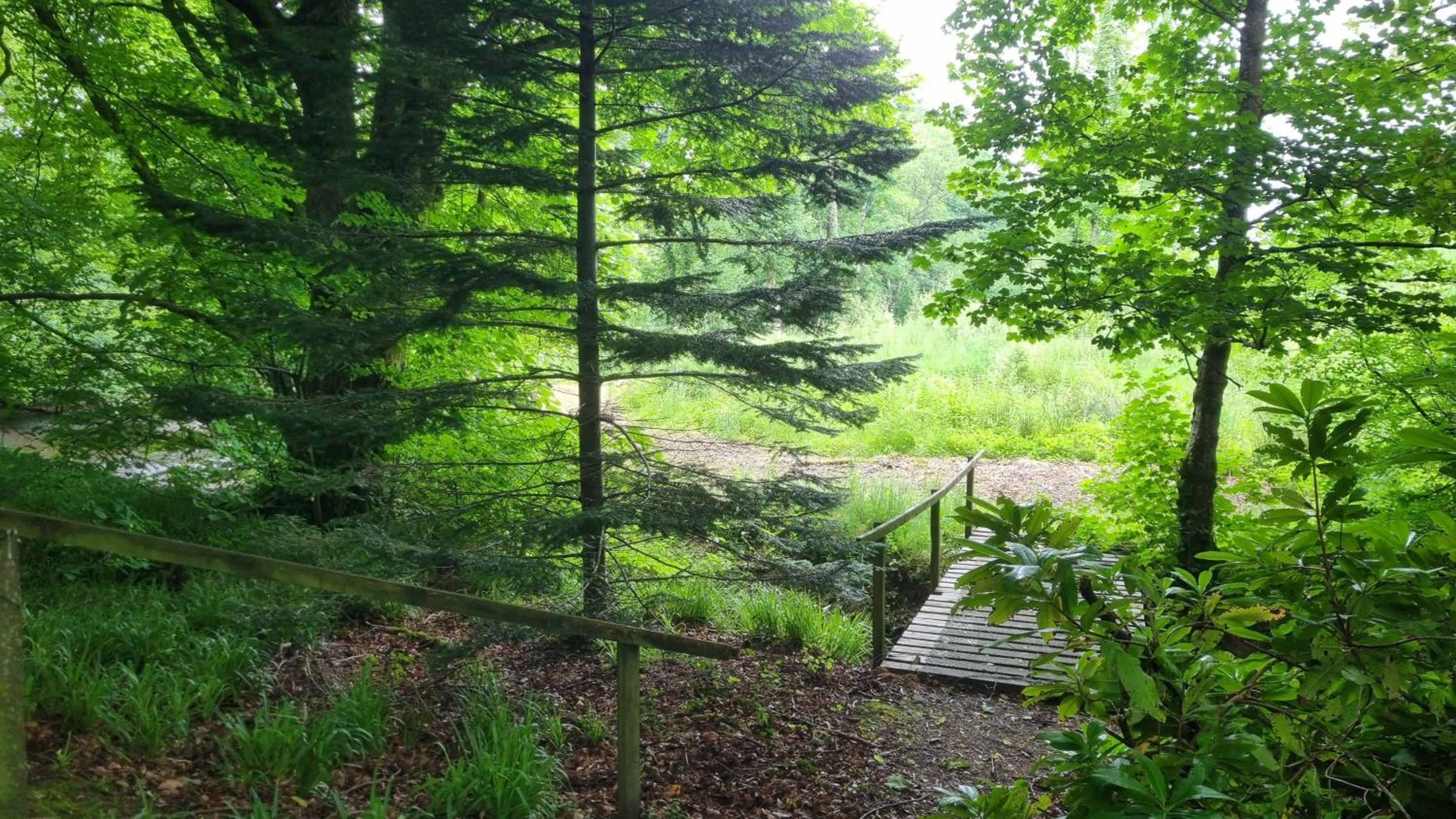Lady Farm - Bargany view 3