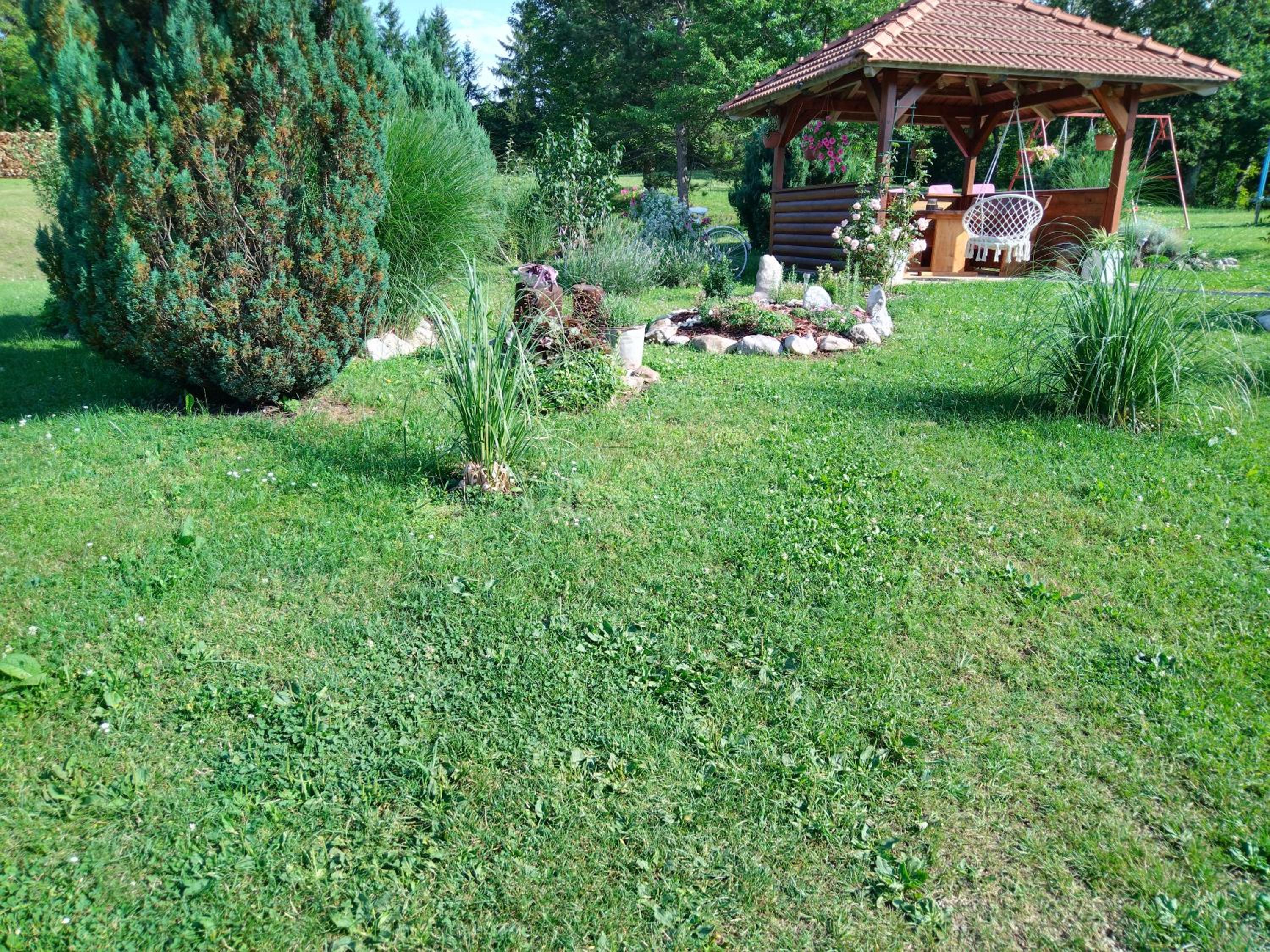 Photo 69