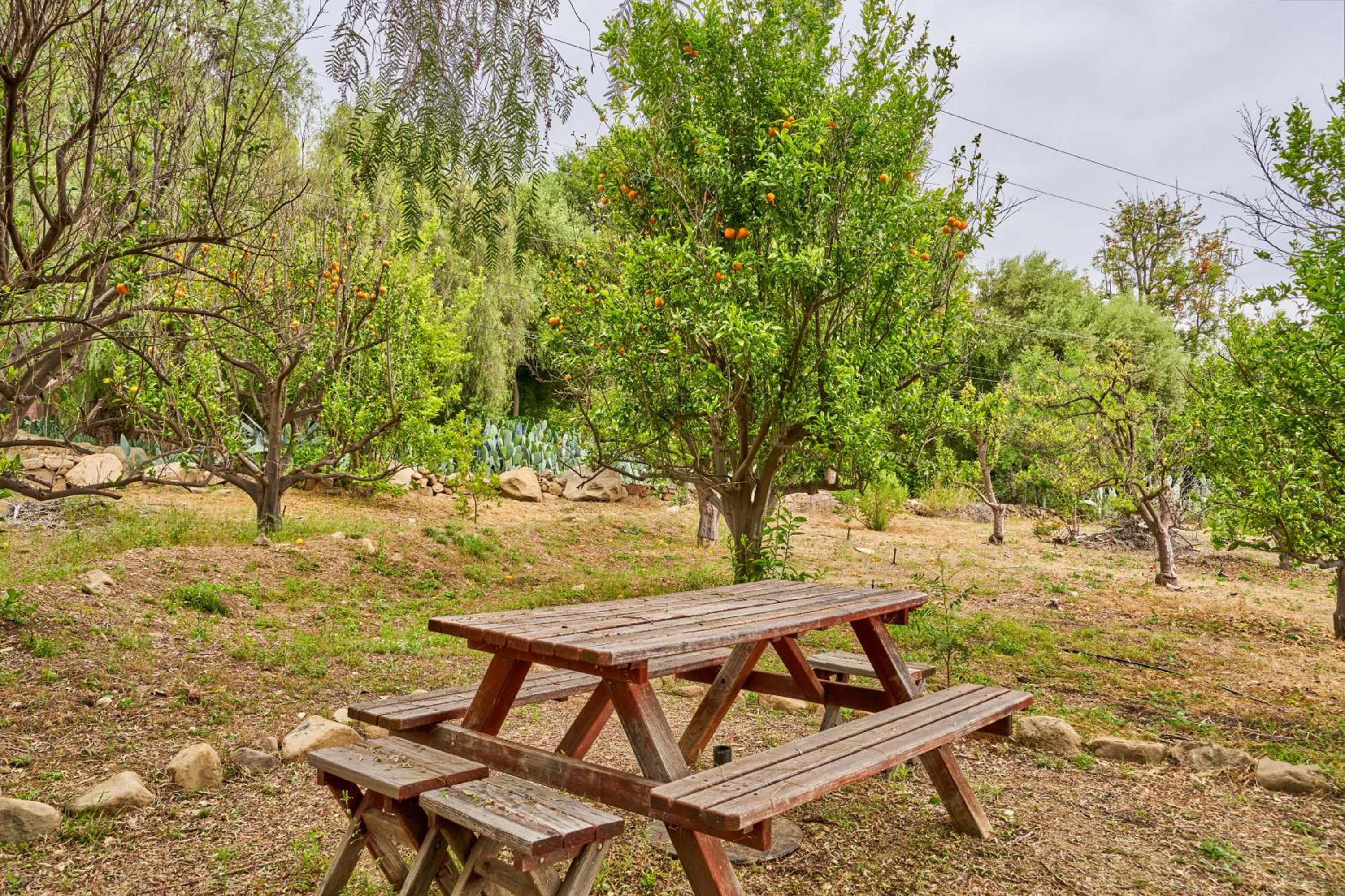 Ojai Vacations - Ojai Vacation Home with Views on the East End - Property Image 46