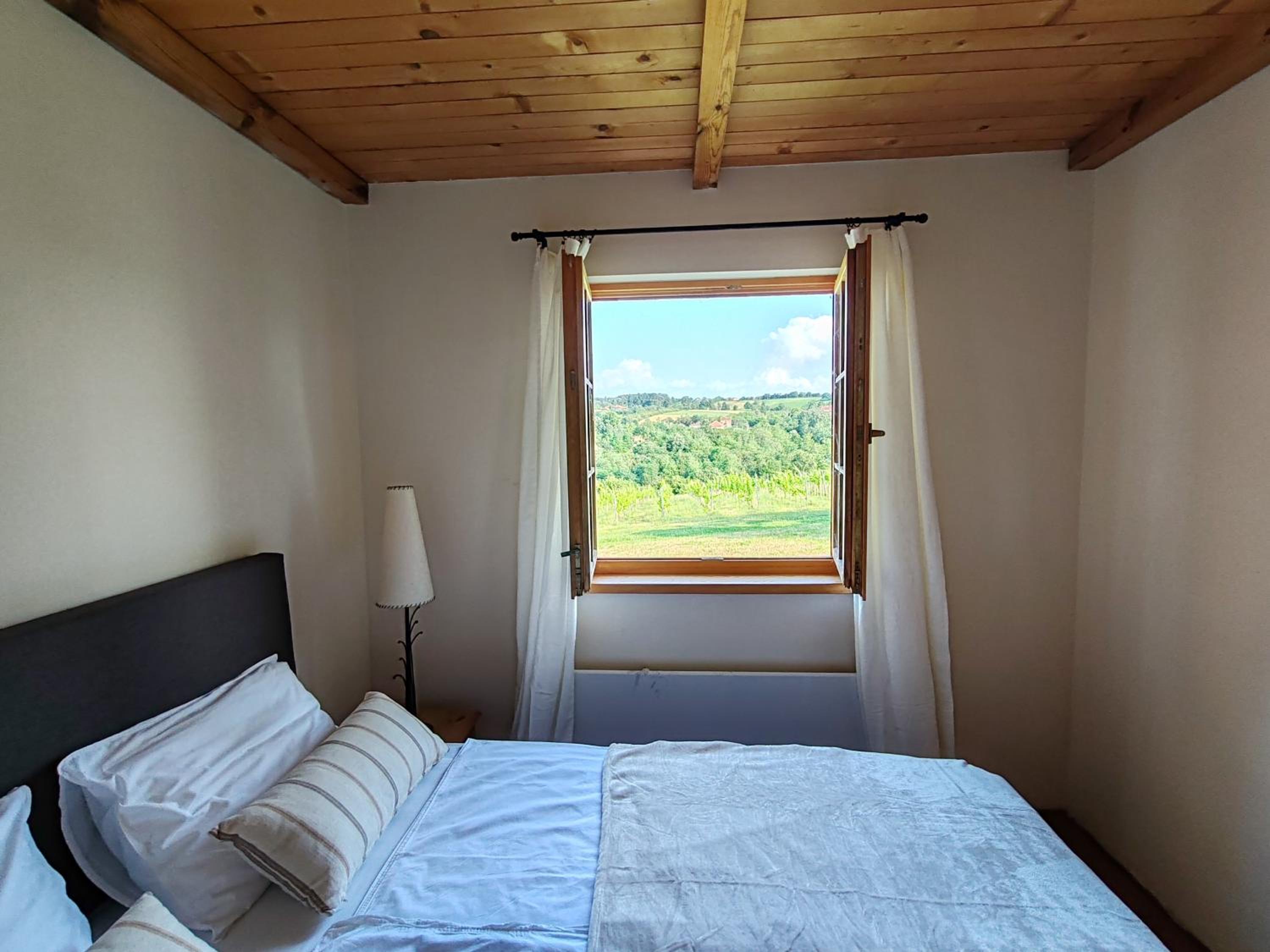 Apartmani Vinogradi view 5