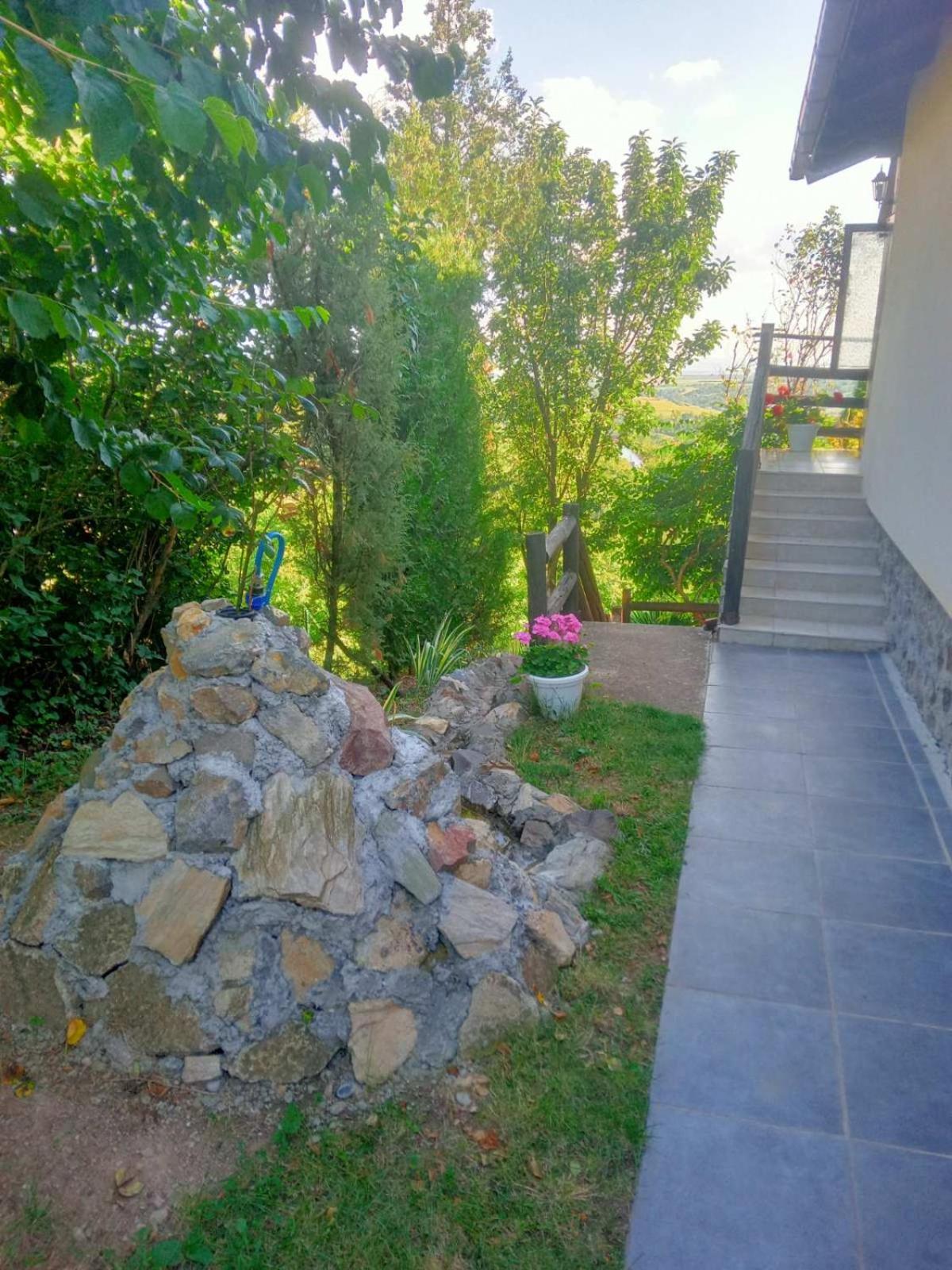 Photo 52