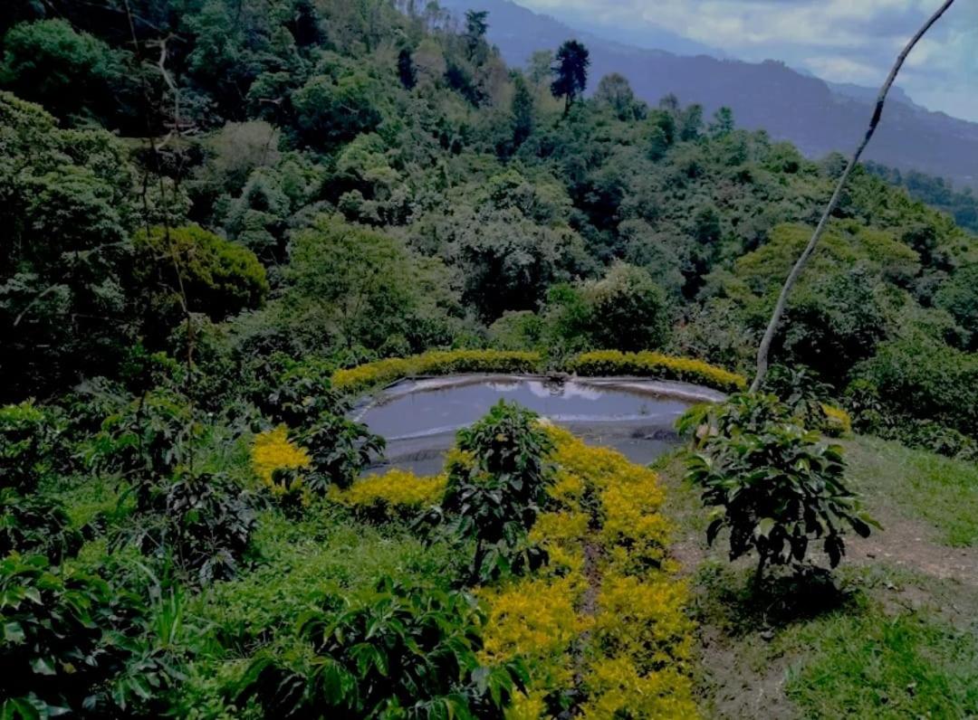 Cabaña cafetera con hermosa vista