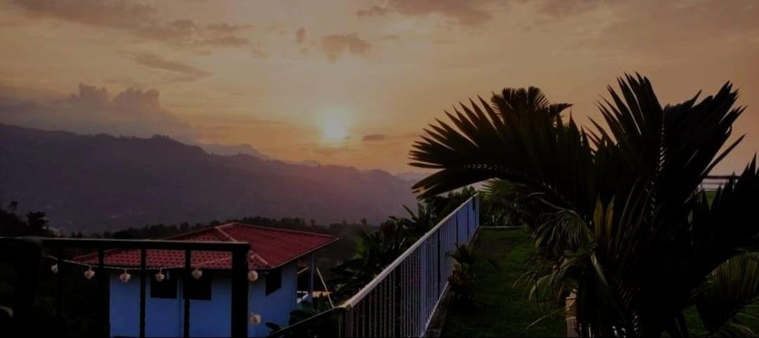 Cabaña cafetera con hermosa vista