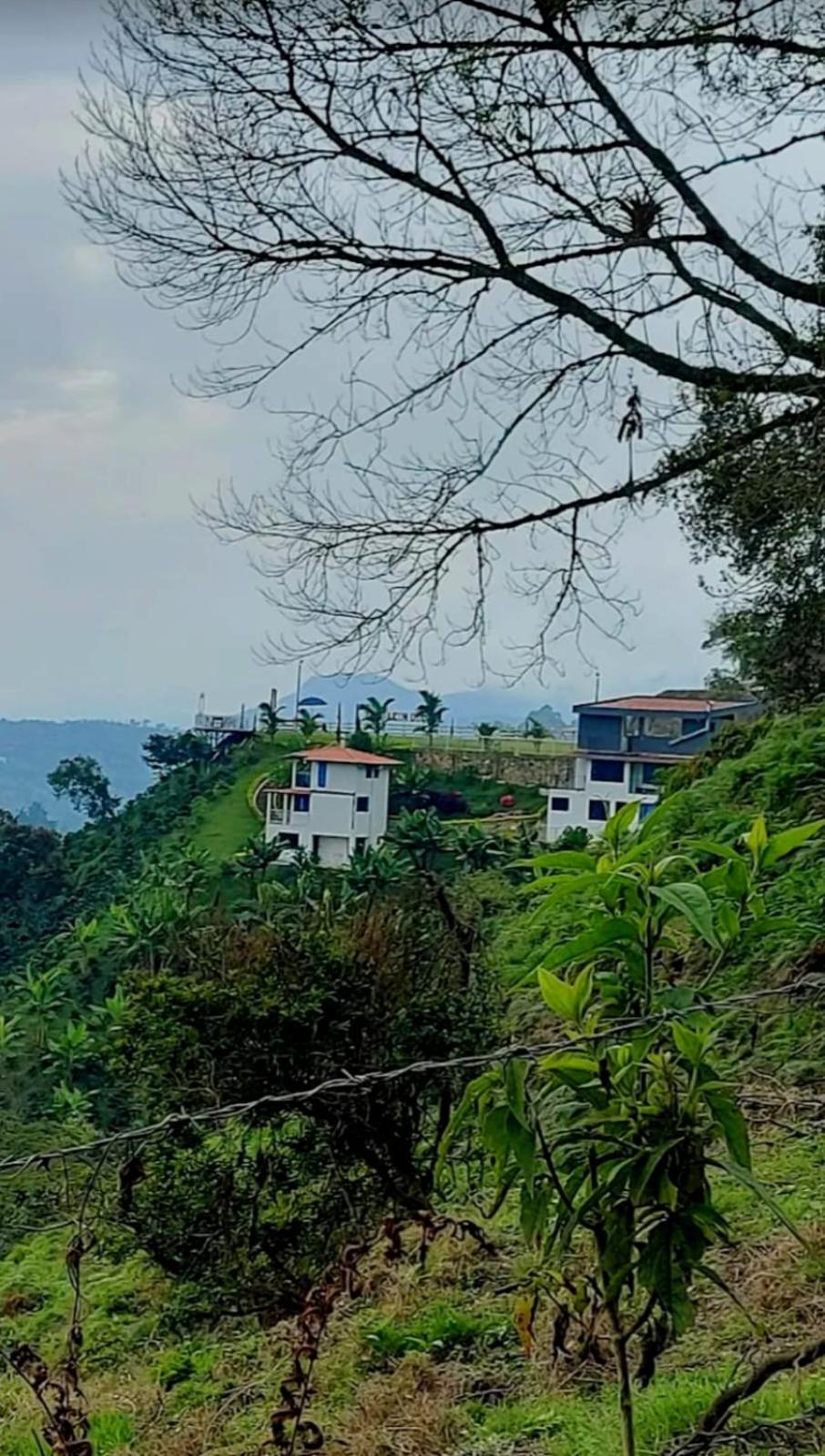 Cabaña cafetera con hermosa vista