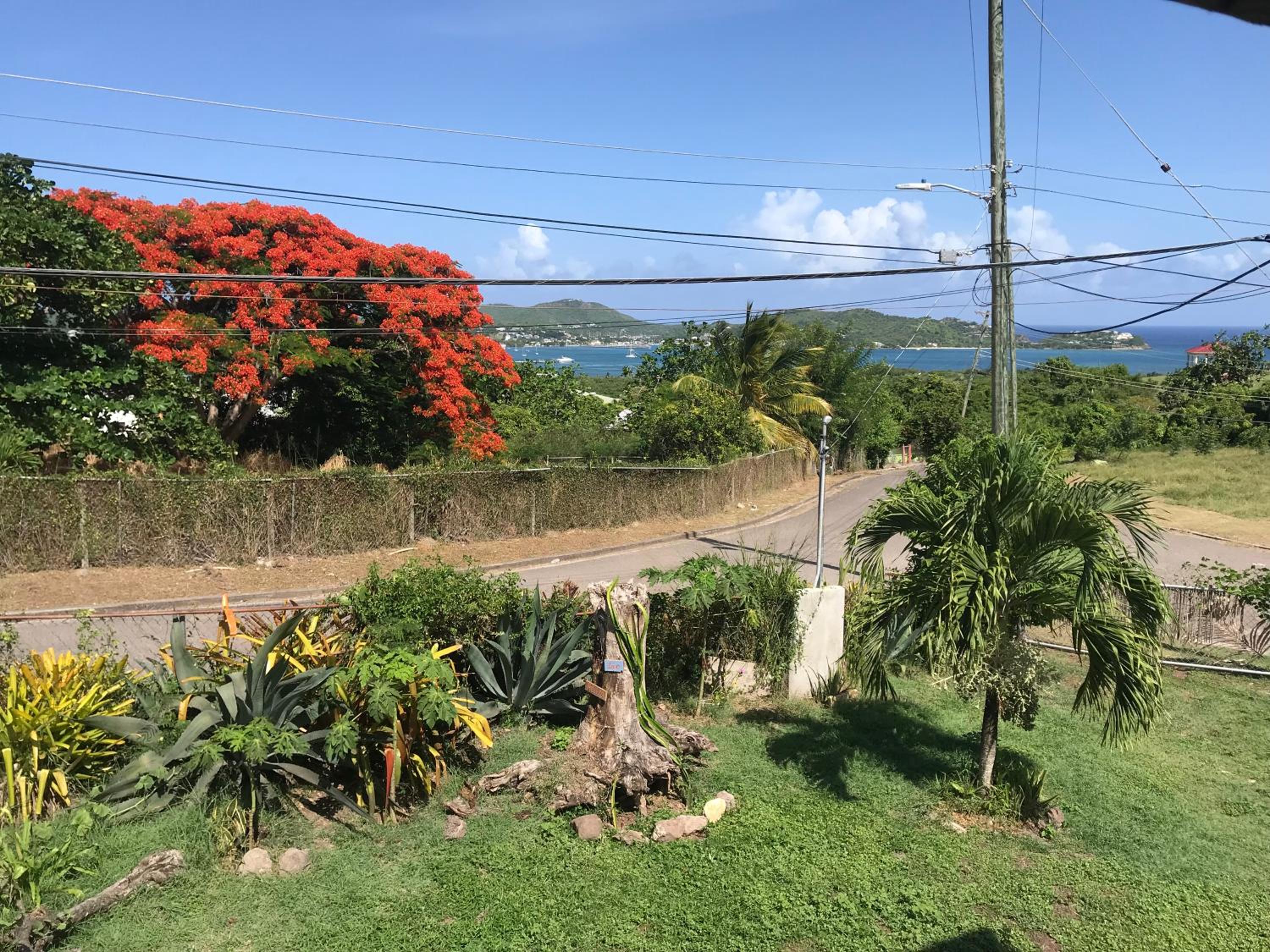 Antigua Blue