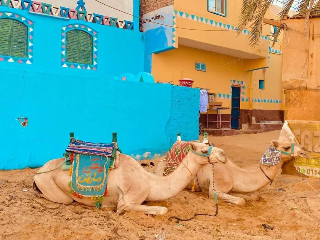 Felucca sailing boat from Aswan to komombo with private bathroom