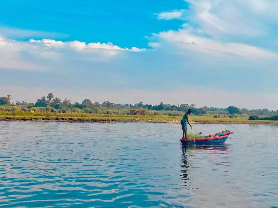 Felucca sailing boat from Aswan to komombo with private bathroom