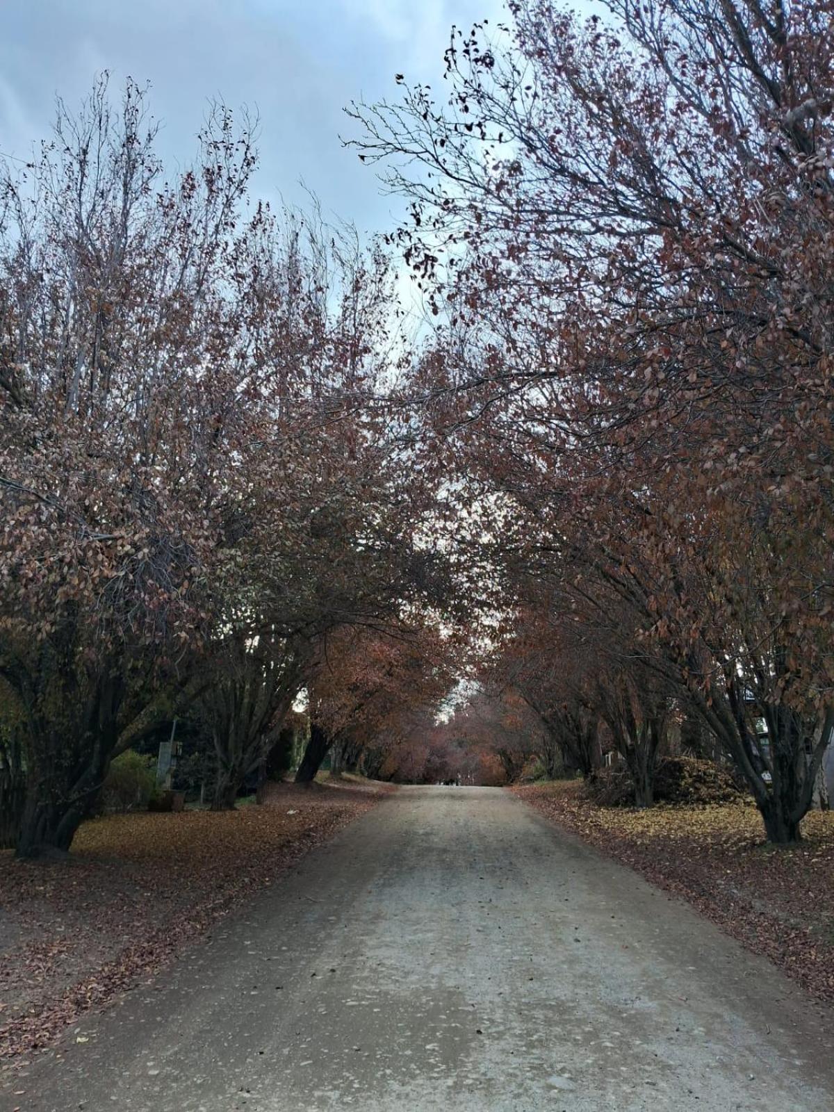 Morada Tronador