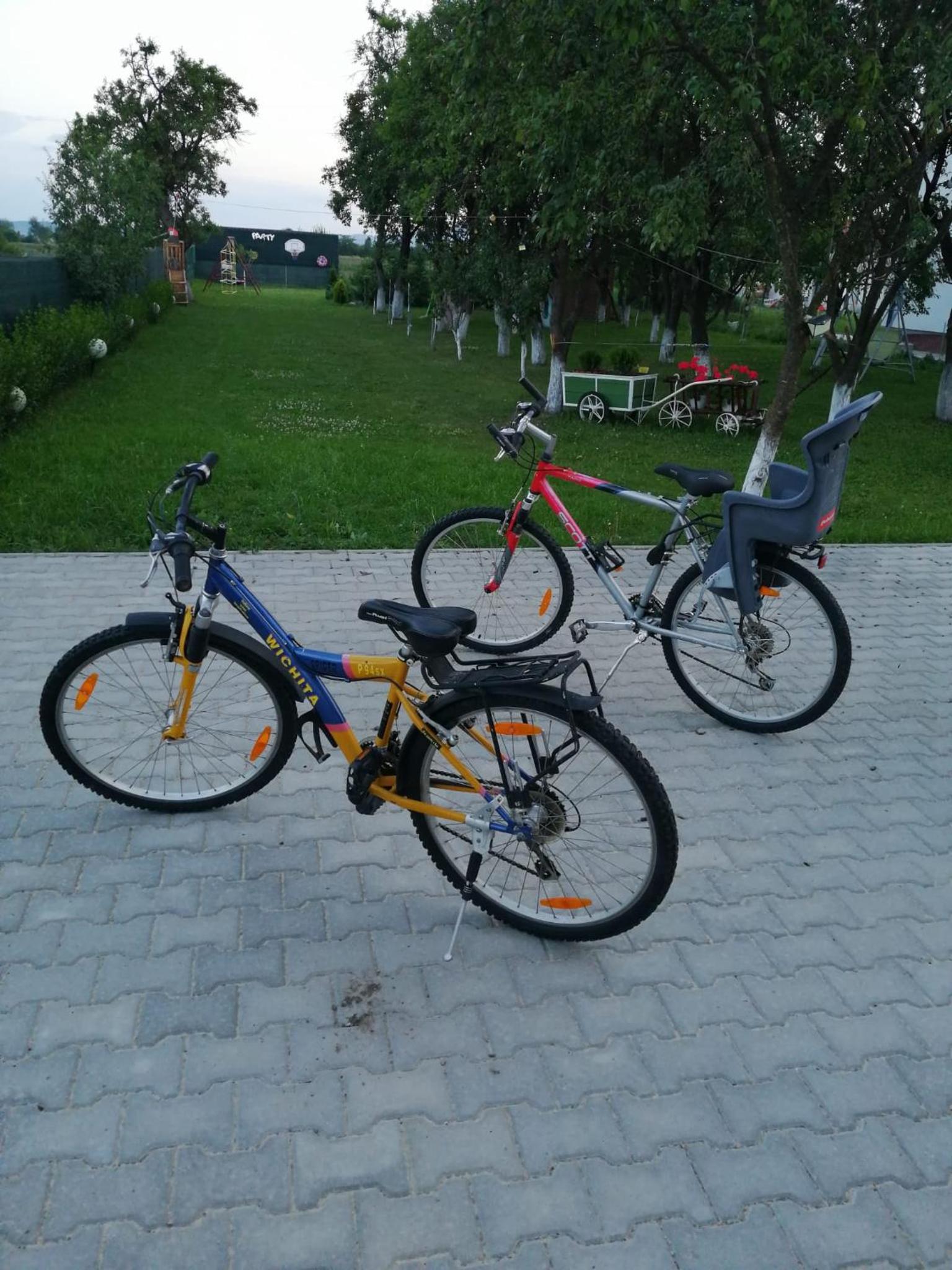 Photo 22