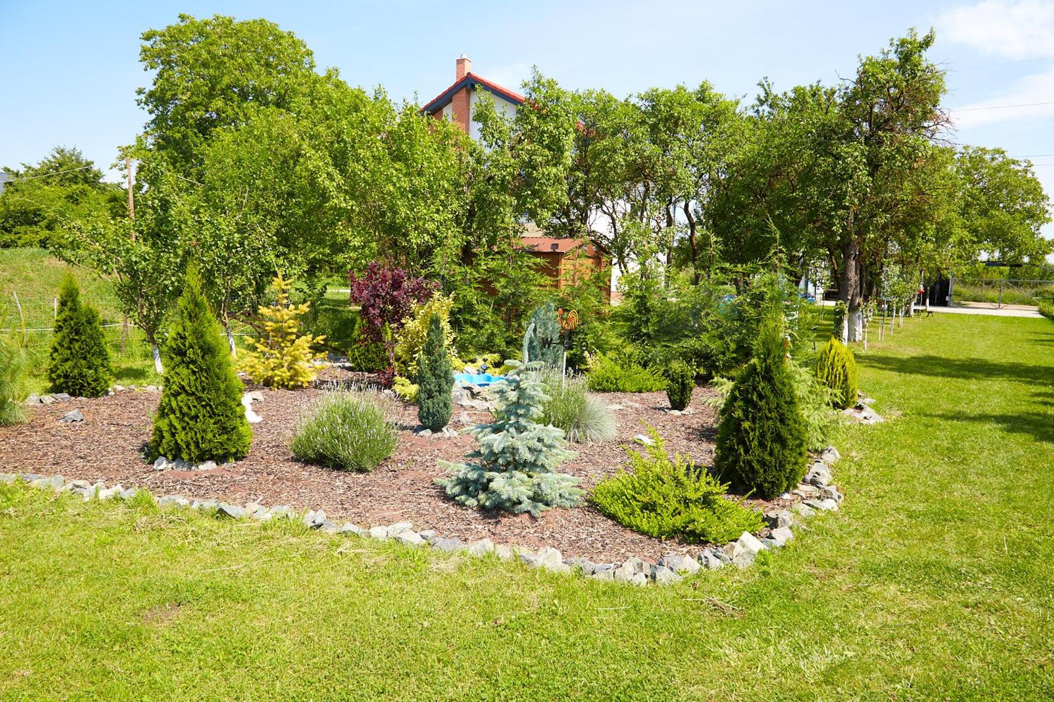 Photo 15