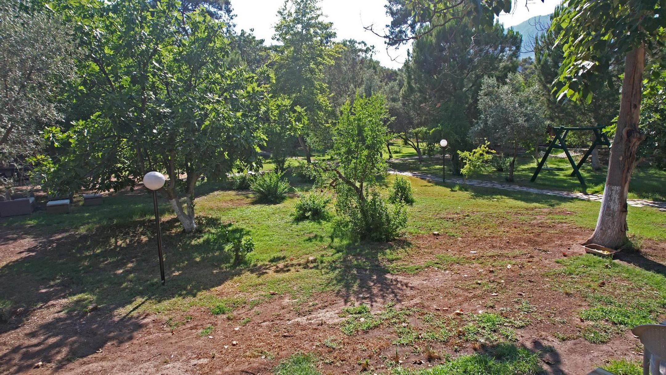 Photo 42