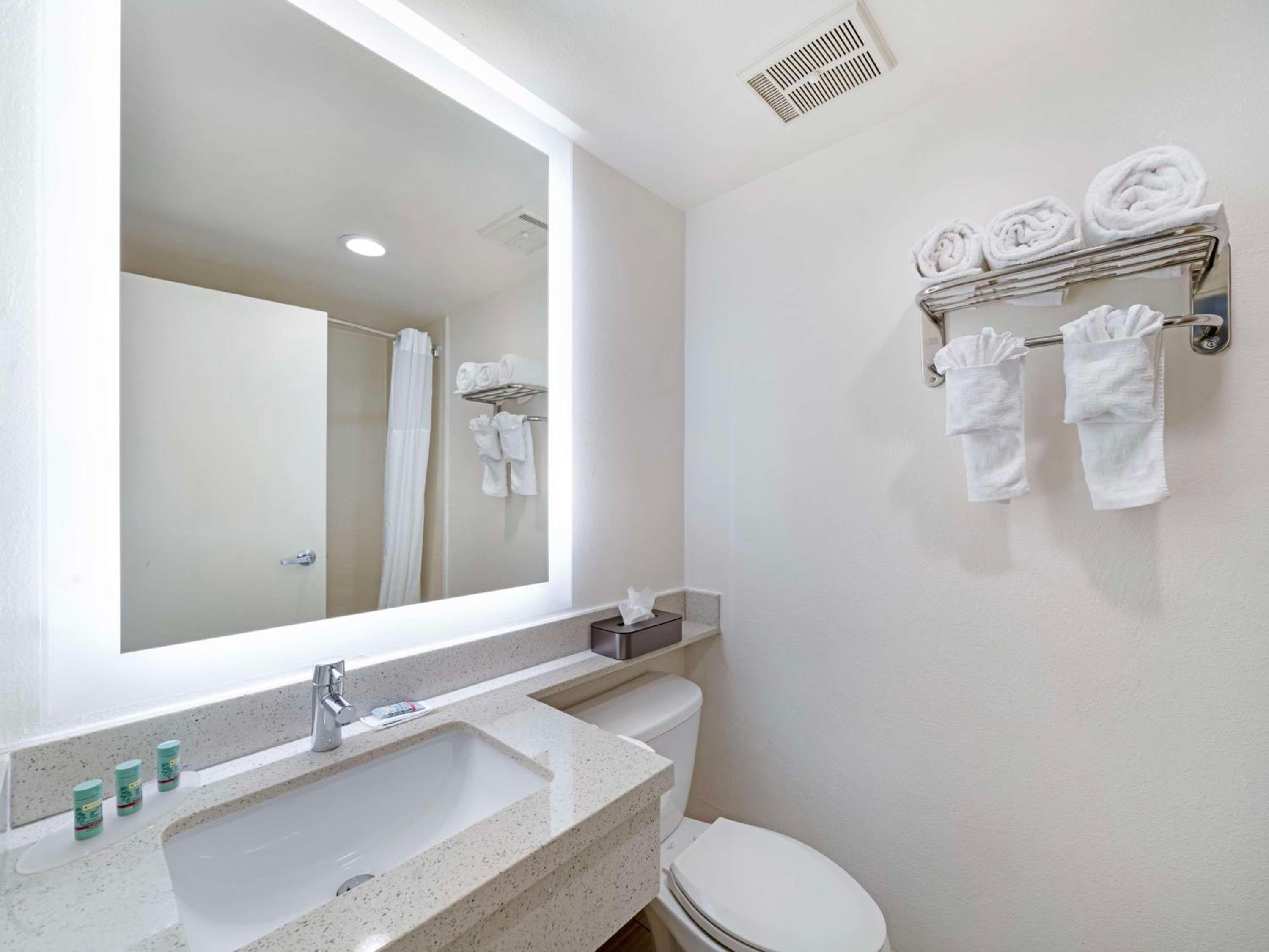 Best Western Posada Royale Hotel  Suites - Property Image 5