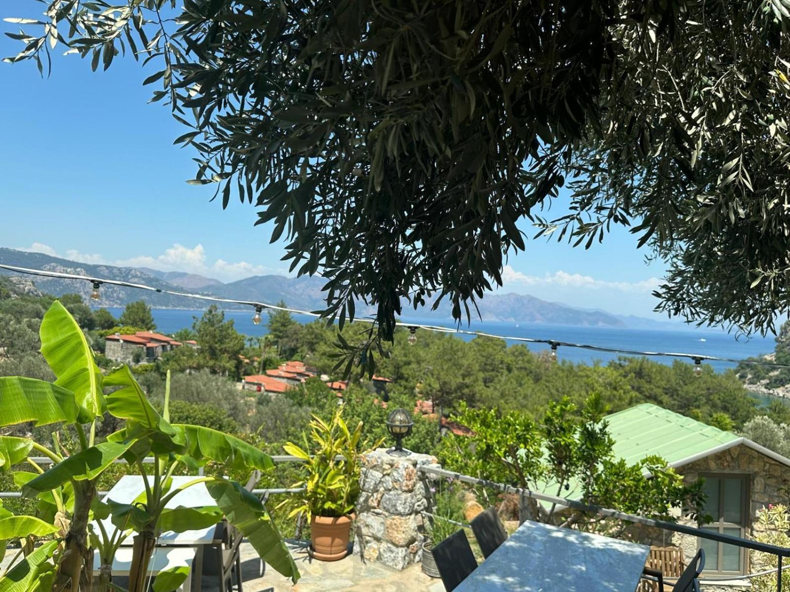 Amos Sea View