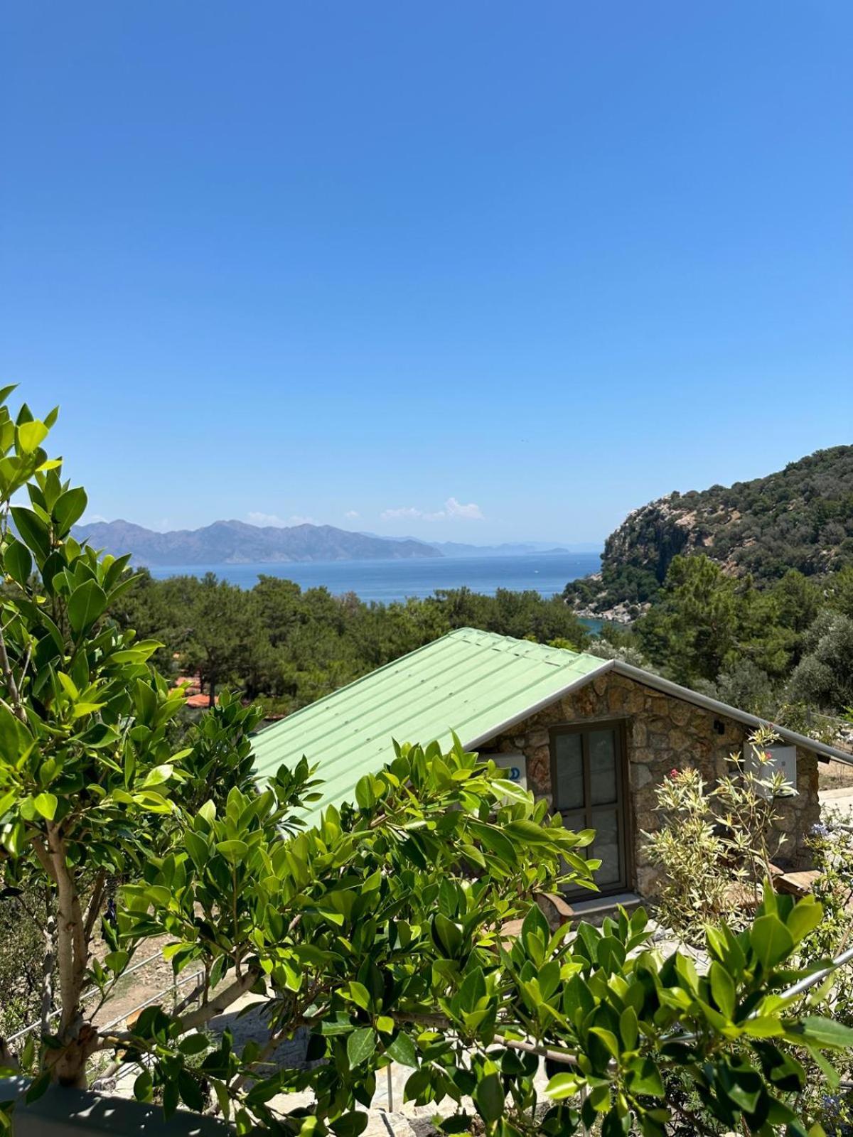 Amos Sea View