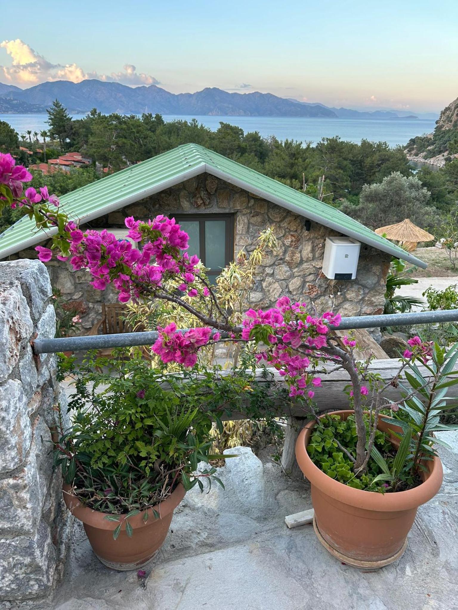 Amos Sea View