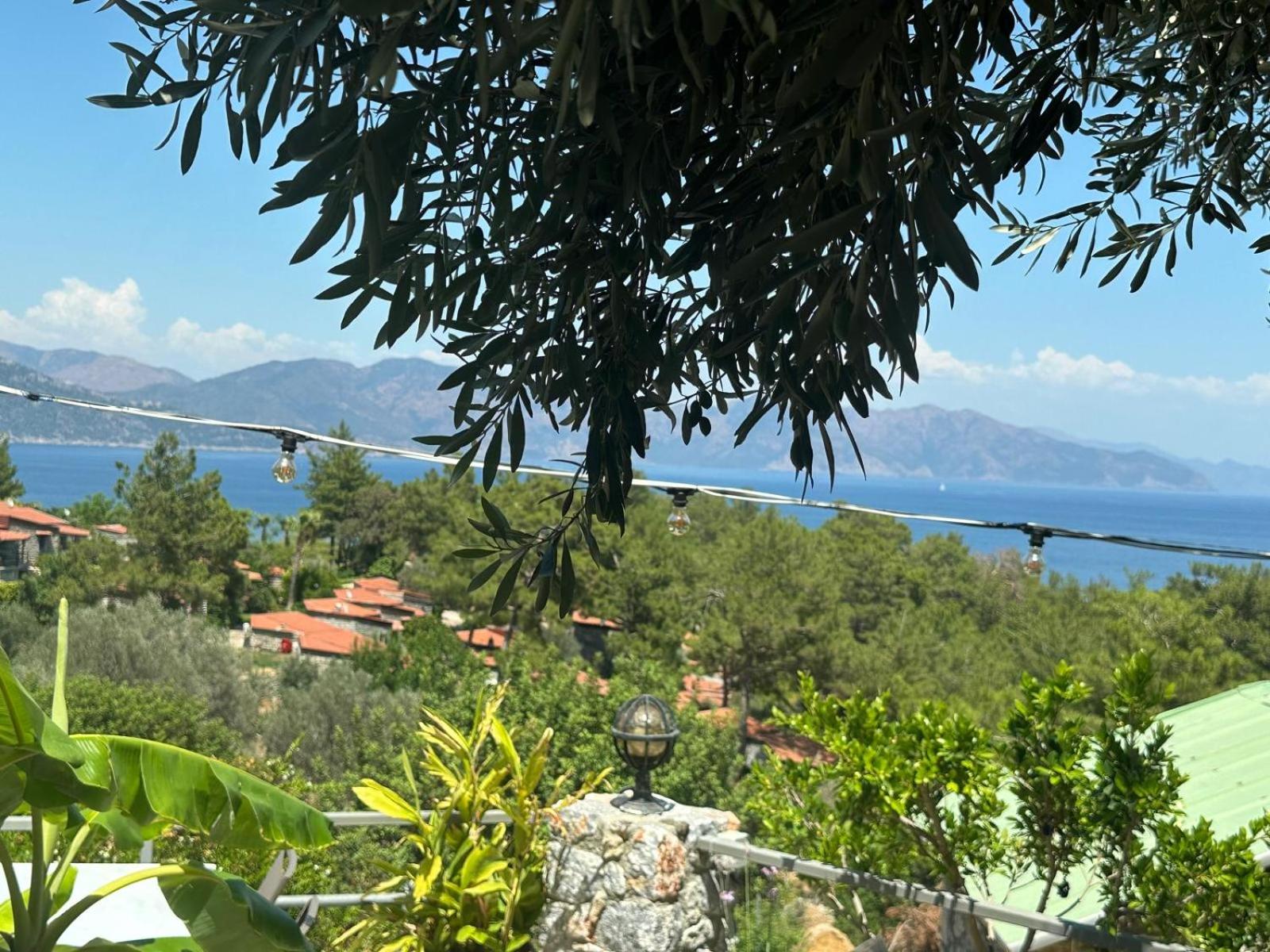 Amos Sea View