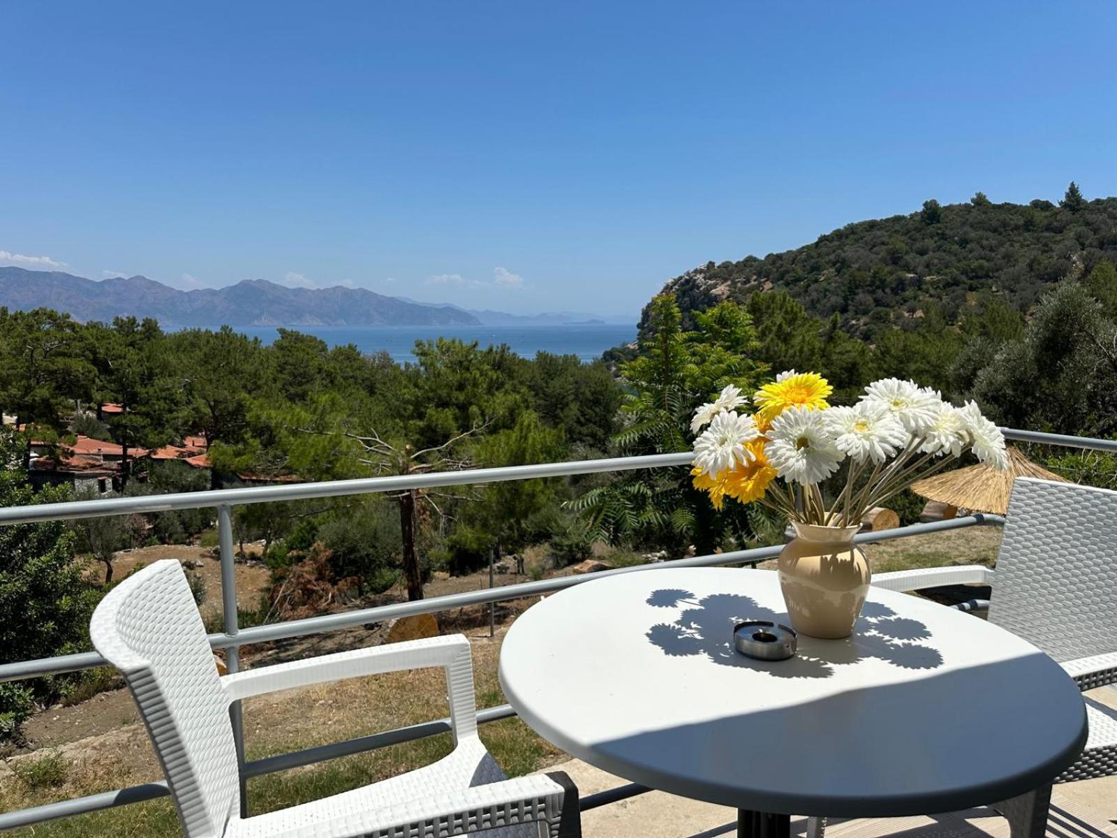 Amos Sea View