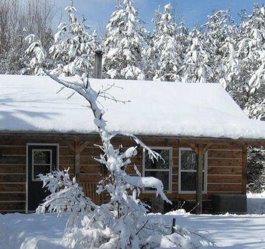 Nottawasaga Hideaway Bed and Breakfast