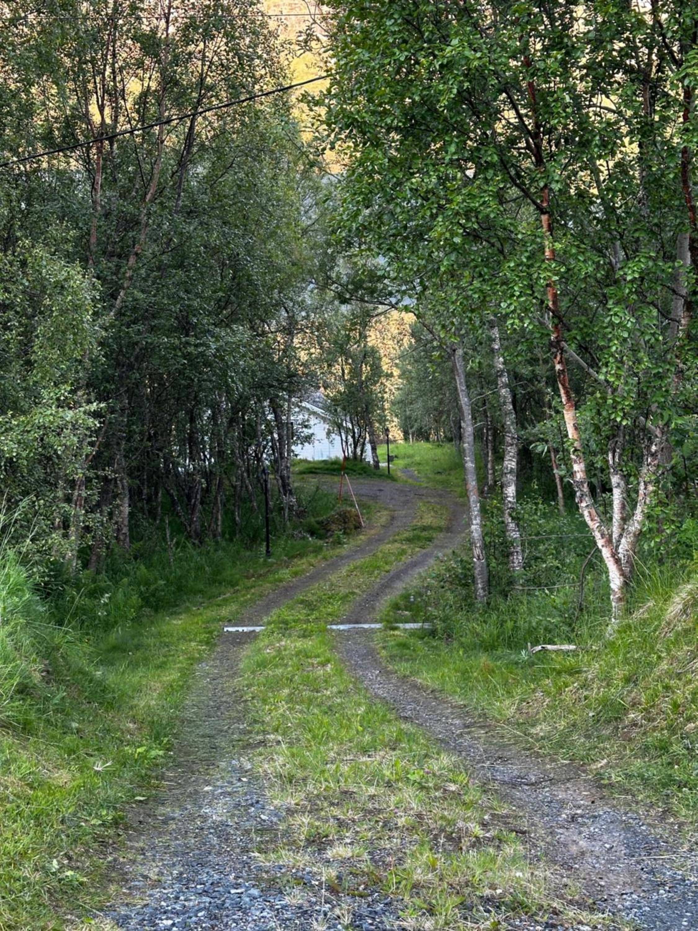 Photo 47