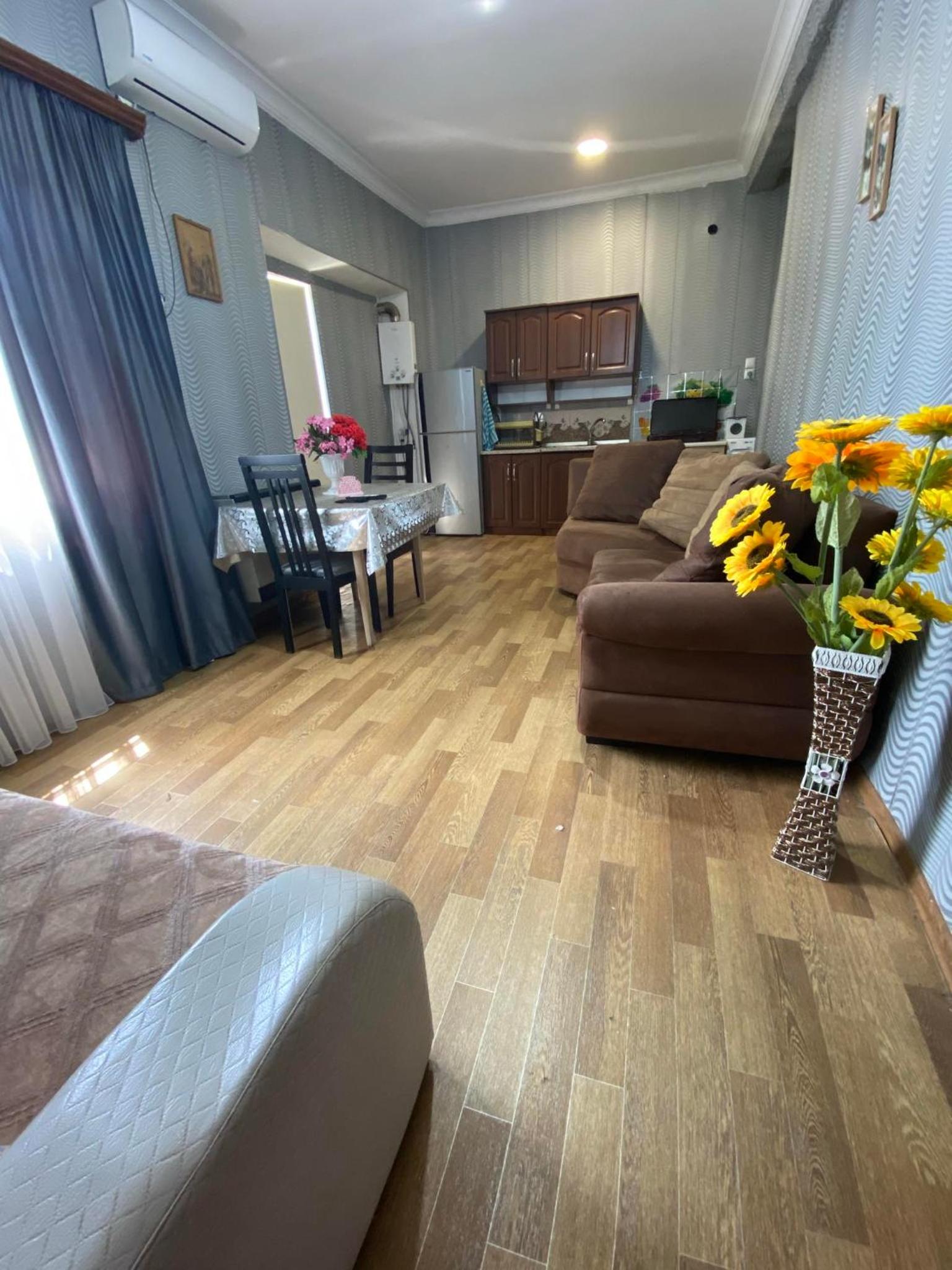 apartment erekle