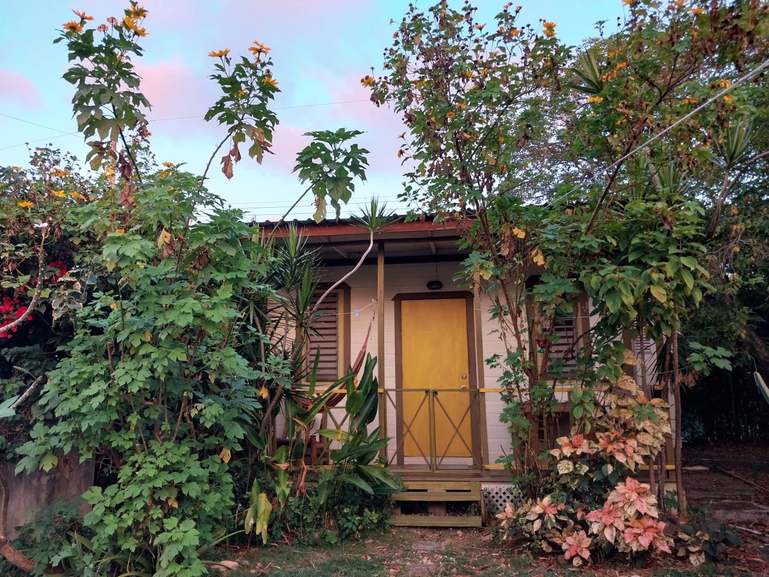SHAMBHALA Homestays Cottage & Studio