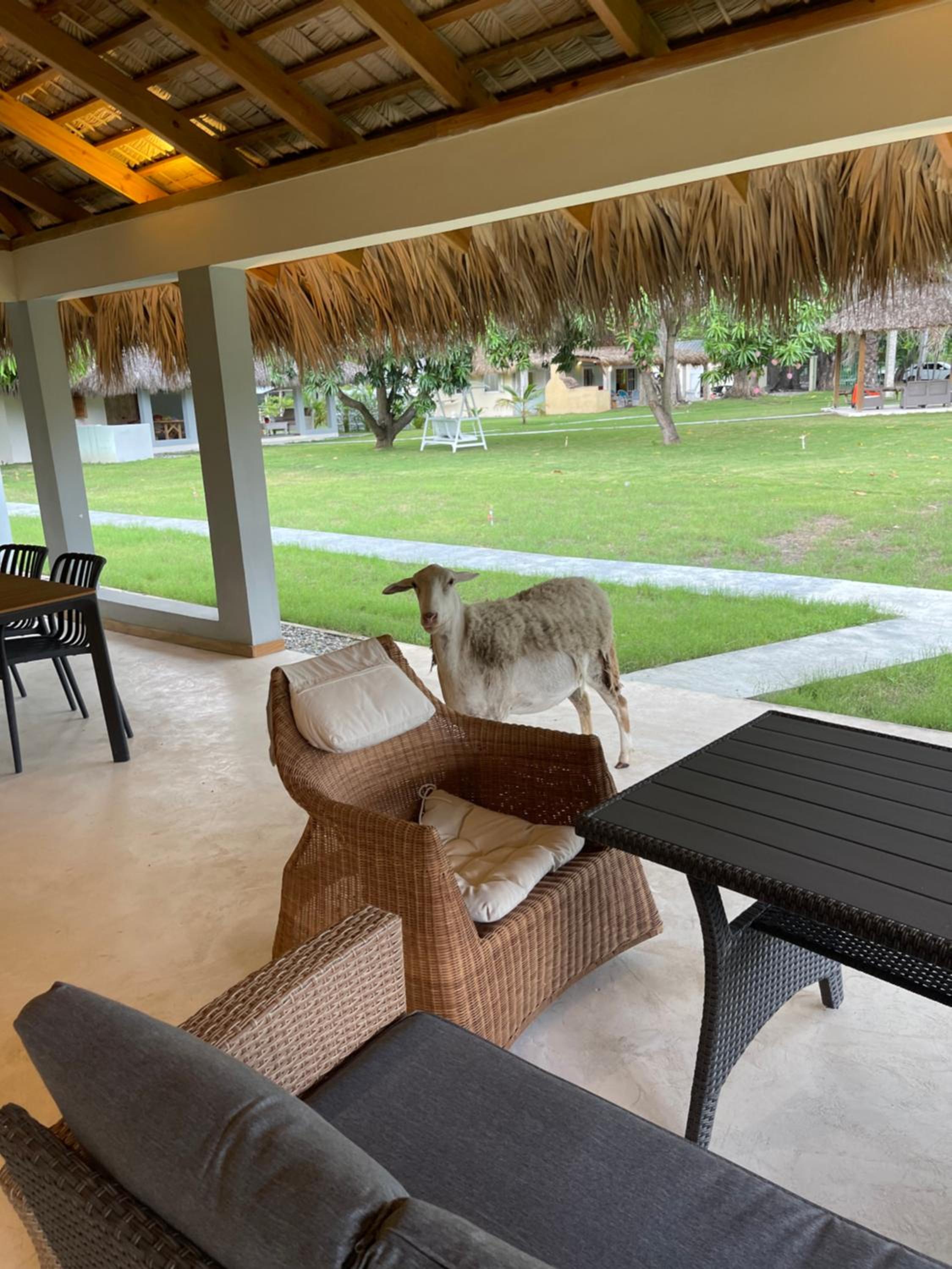 Nizao Beach Lodge