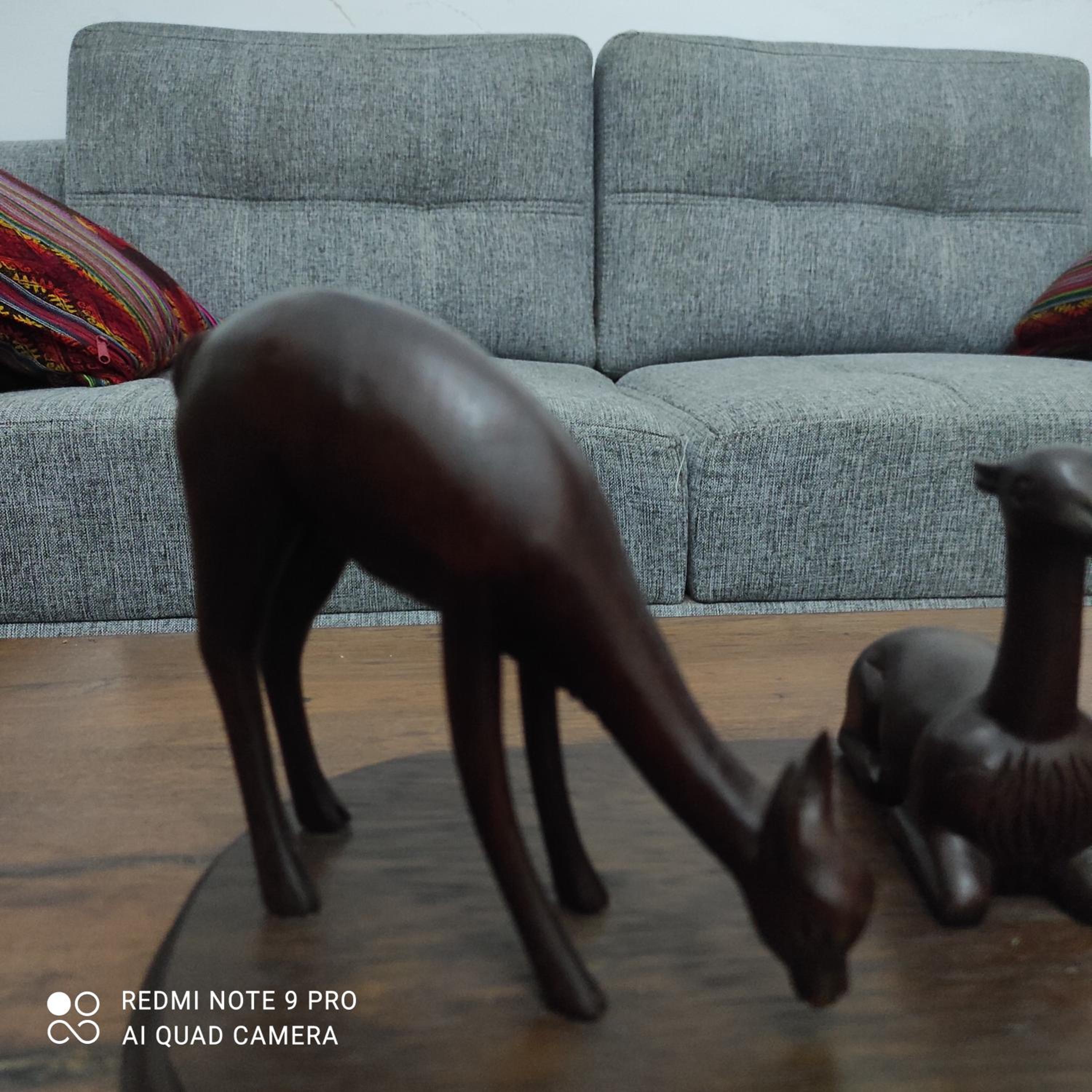 Photo 28