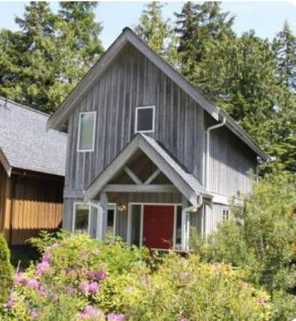 Ocean Surf Forest Cabin