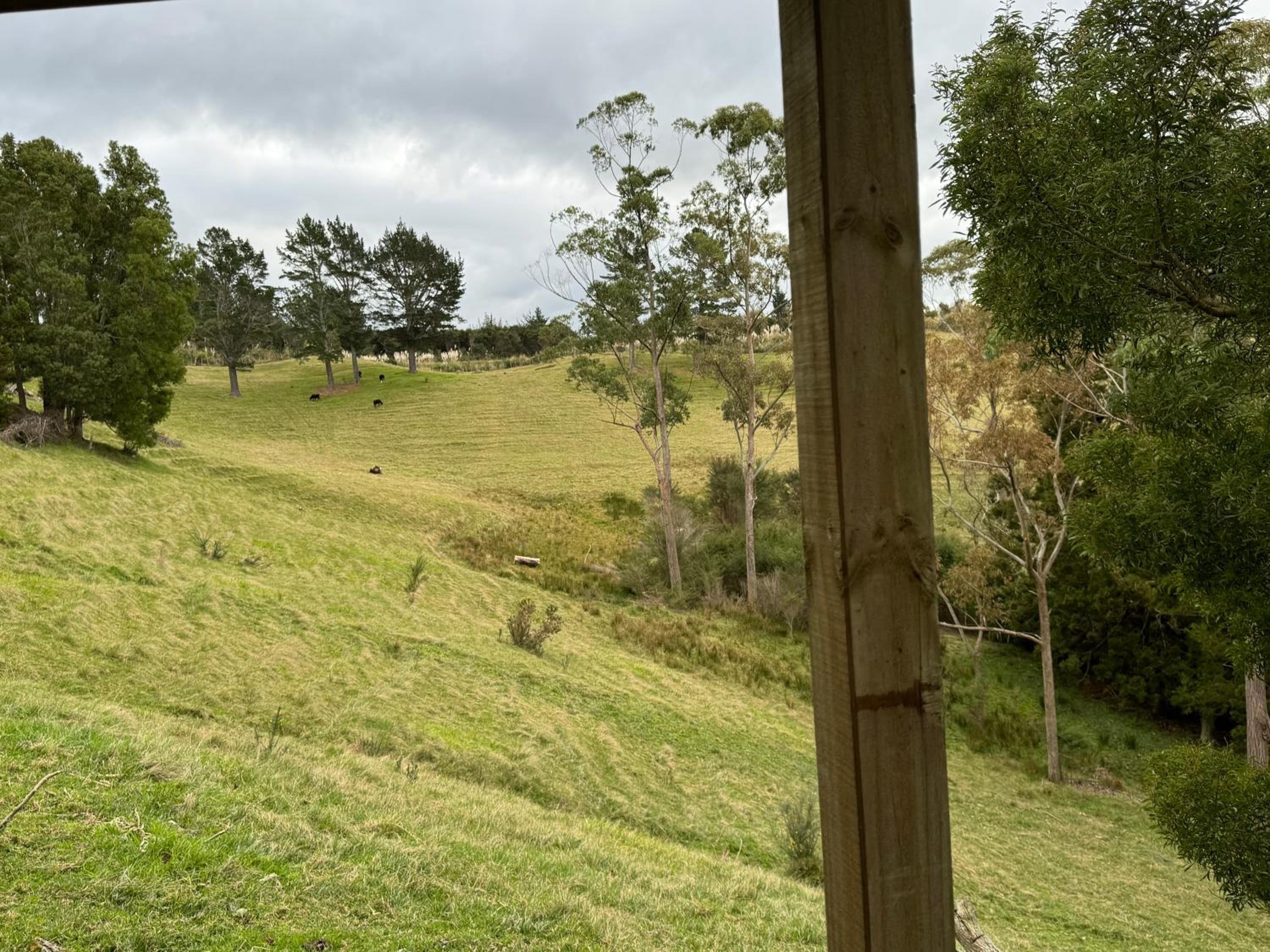 Private Cabin close to the City Centre