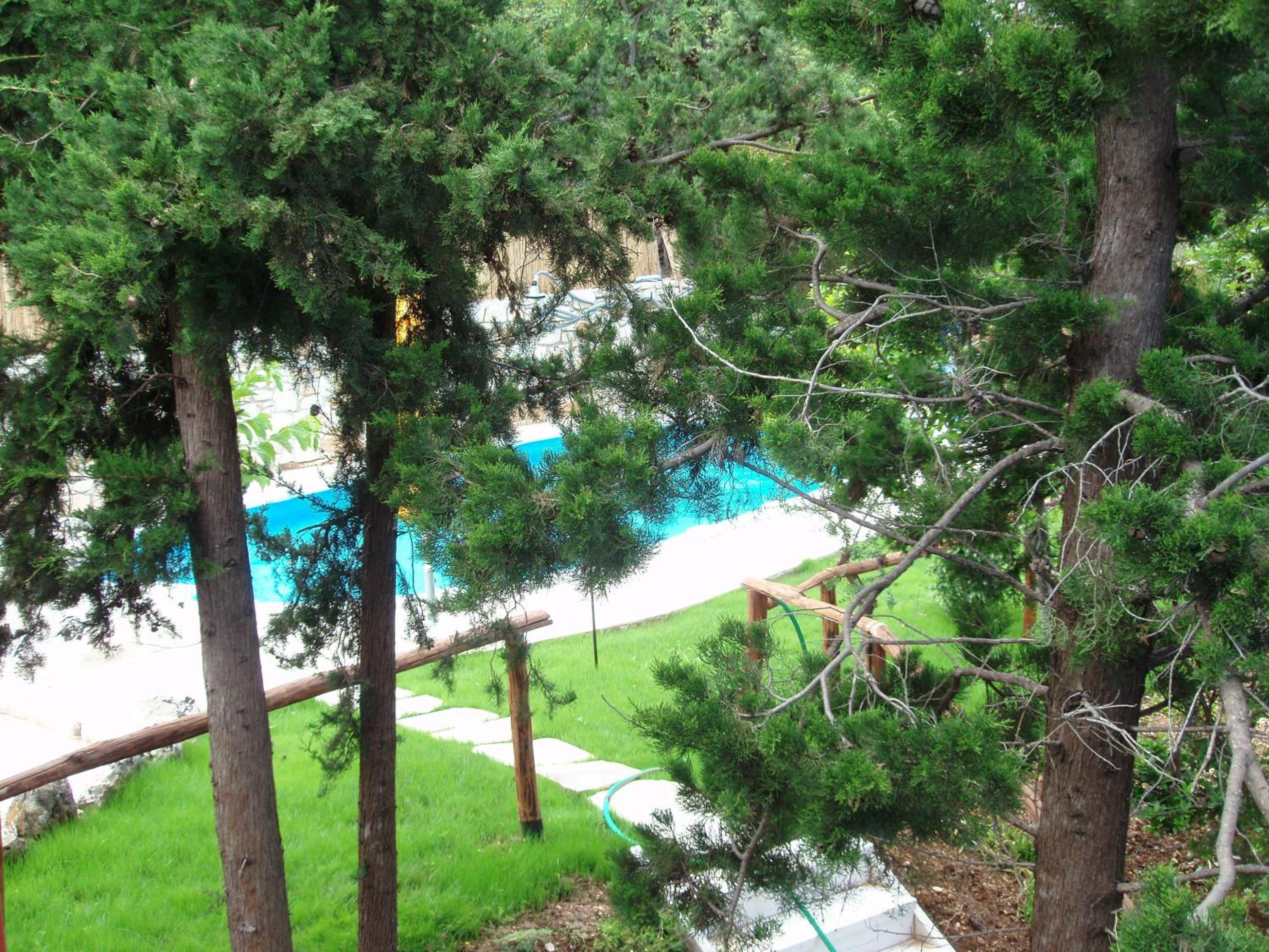Photo 21