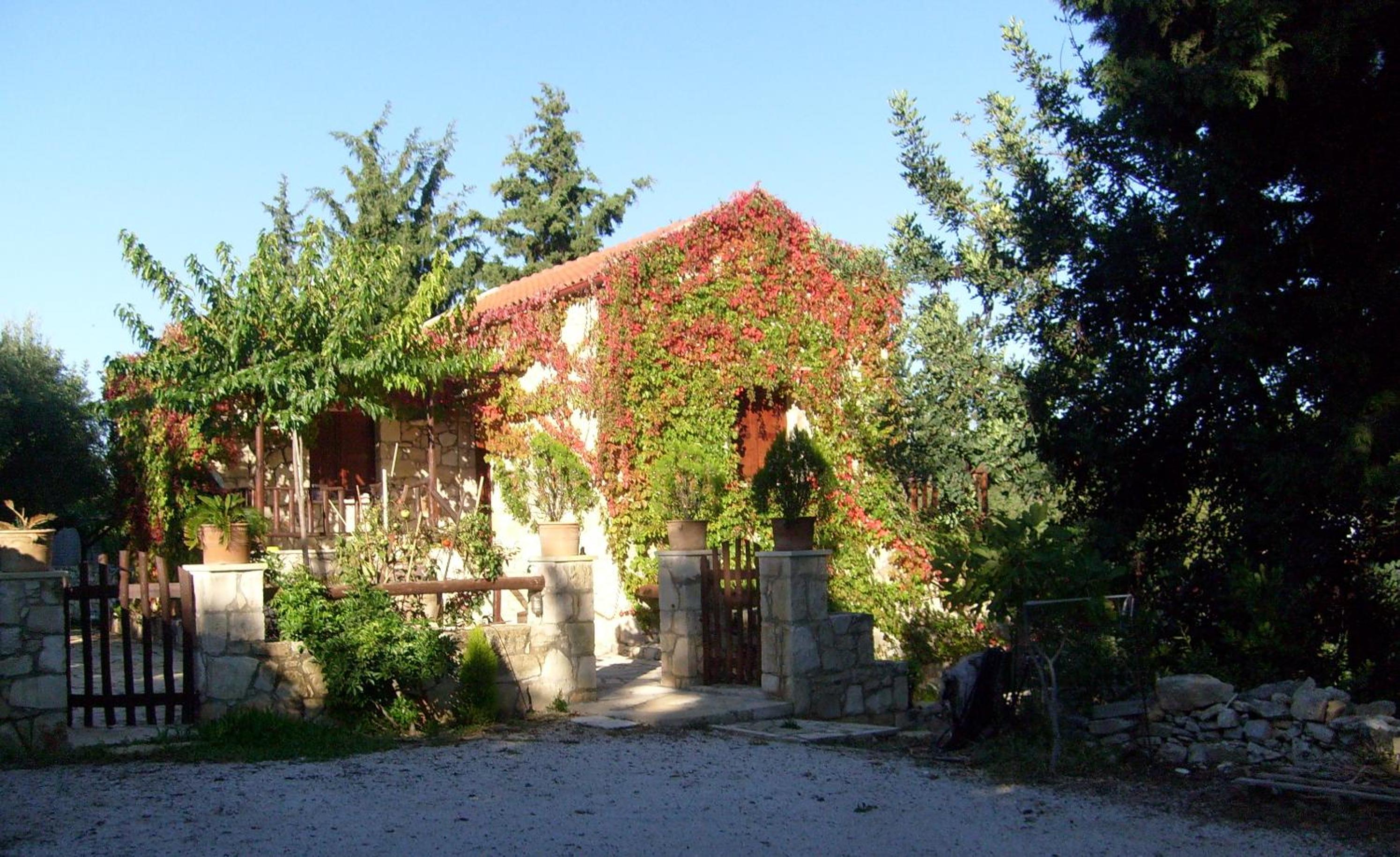 Photo 20