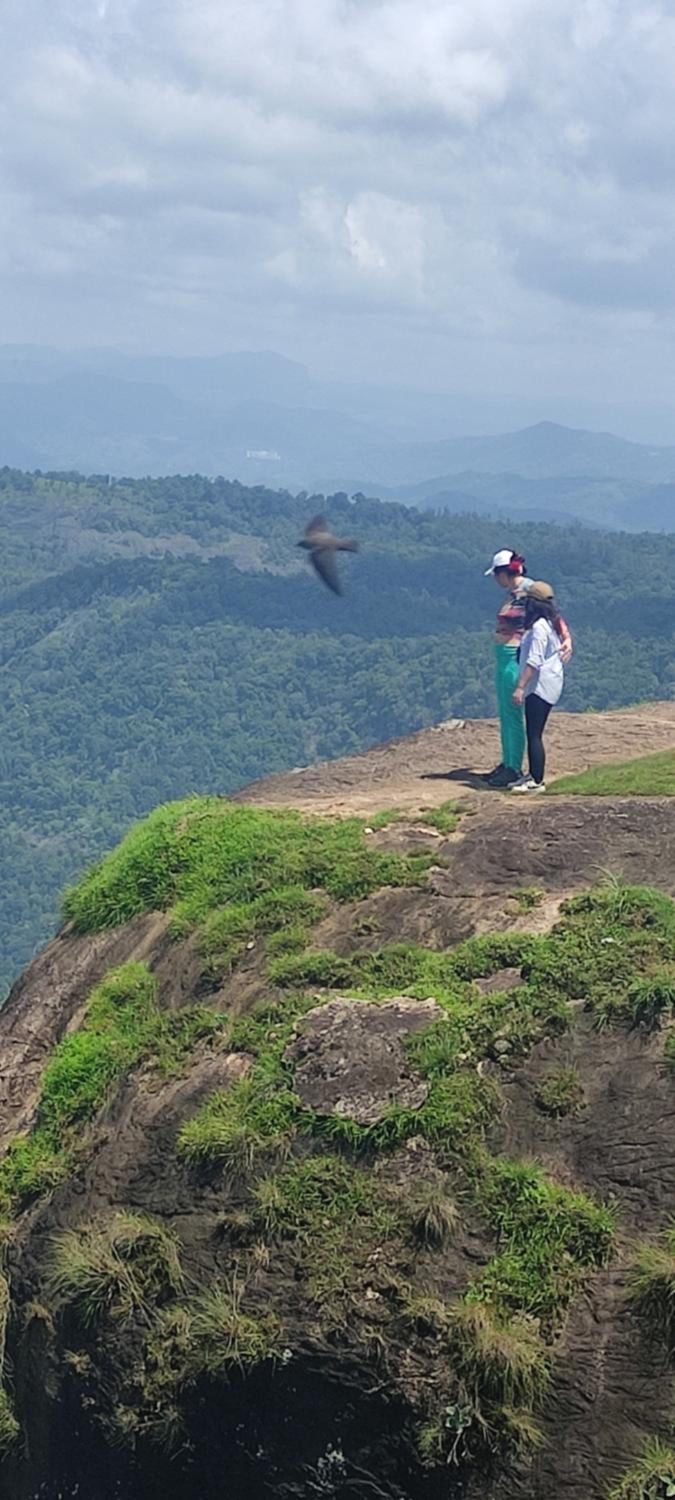 Munnar Village Homes